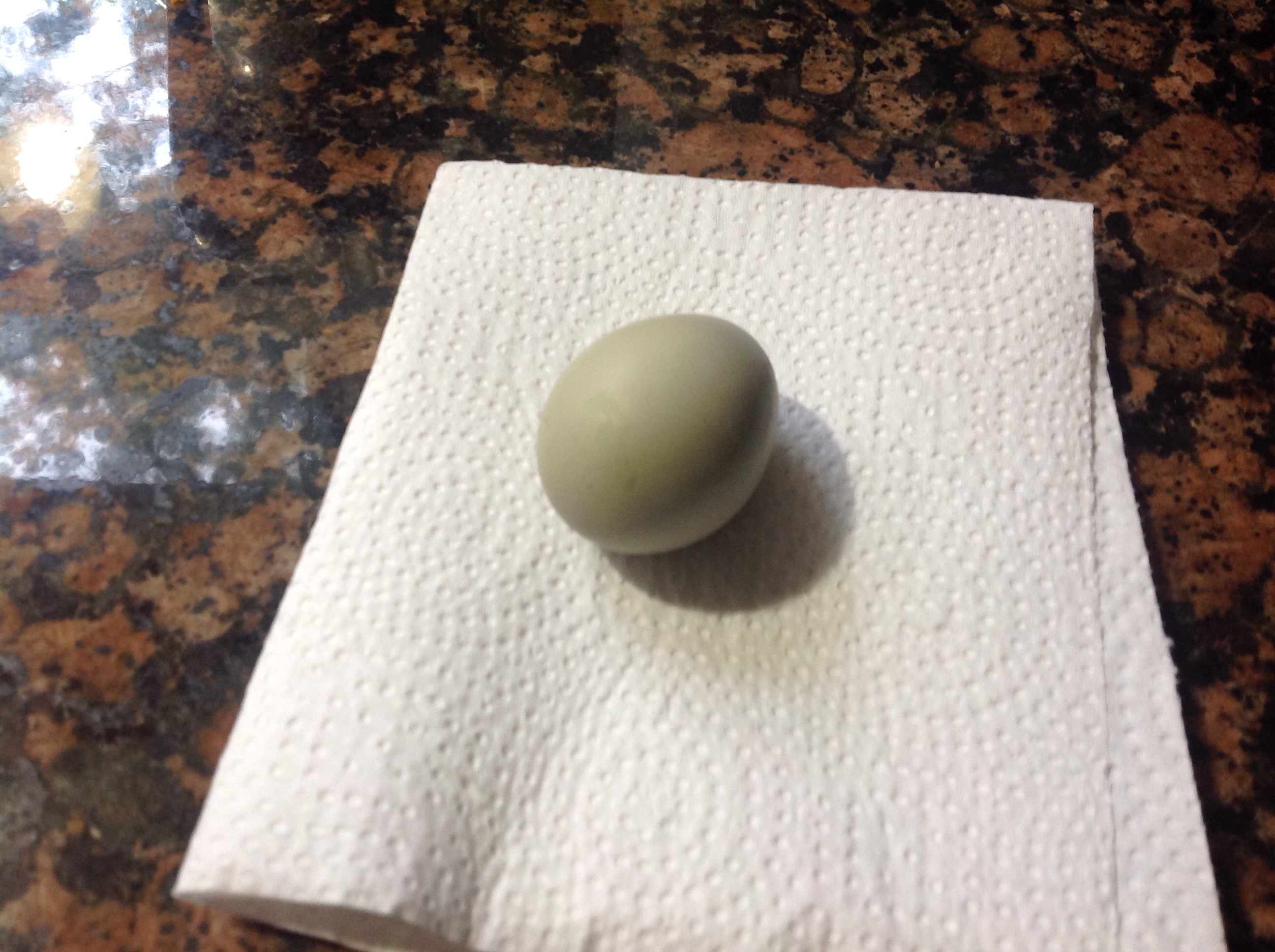 First egg from the new chicklets. 7/14/14