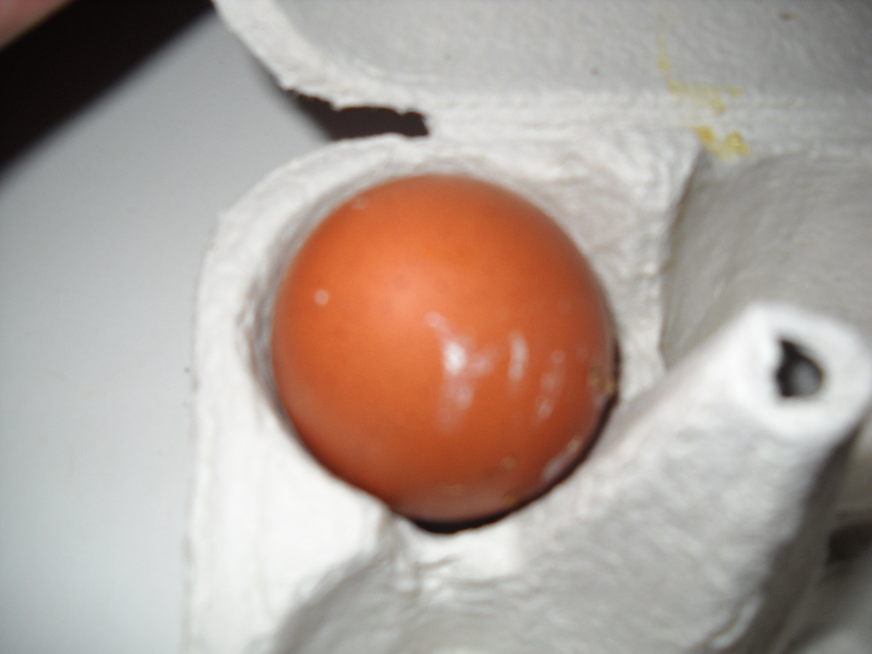 first egg