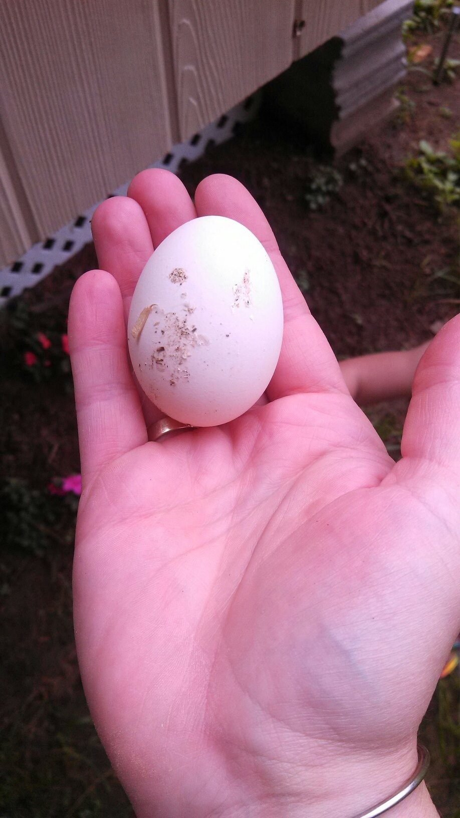 First egg!!!
