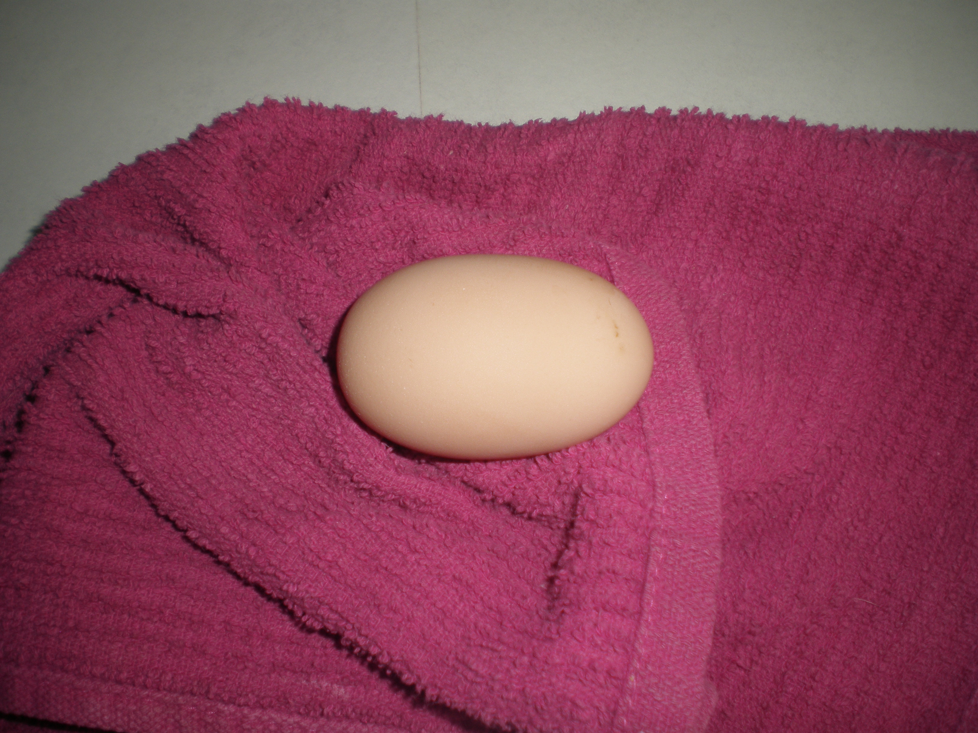 First Egg