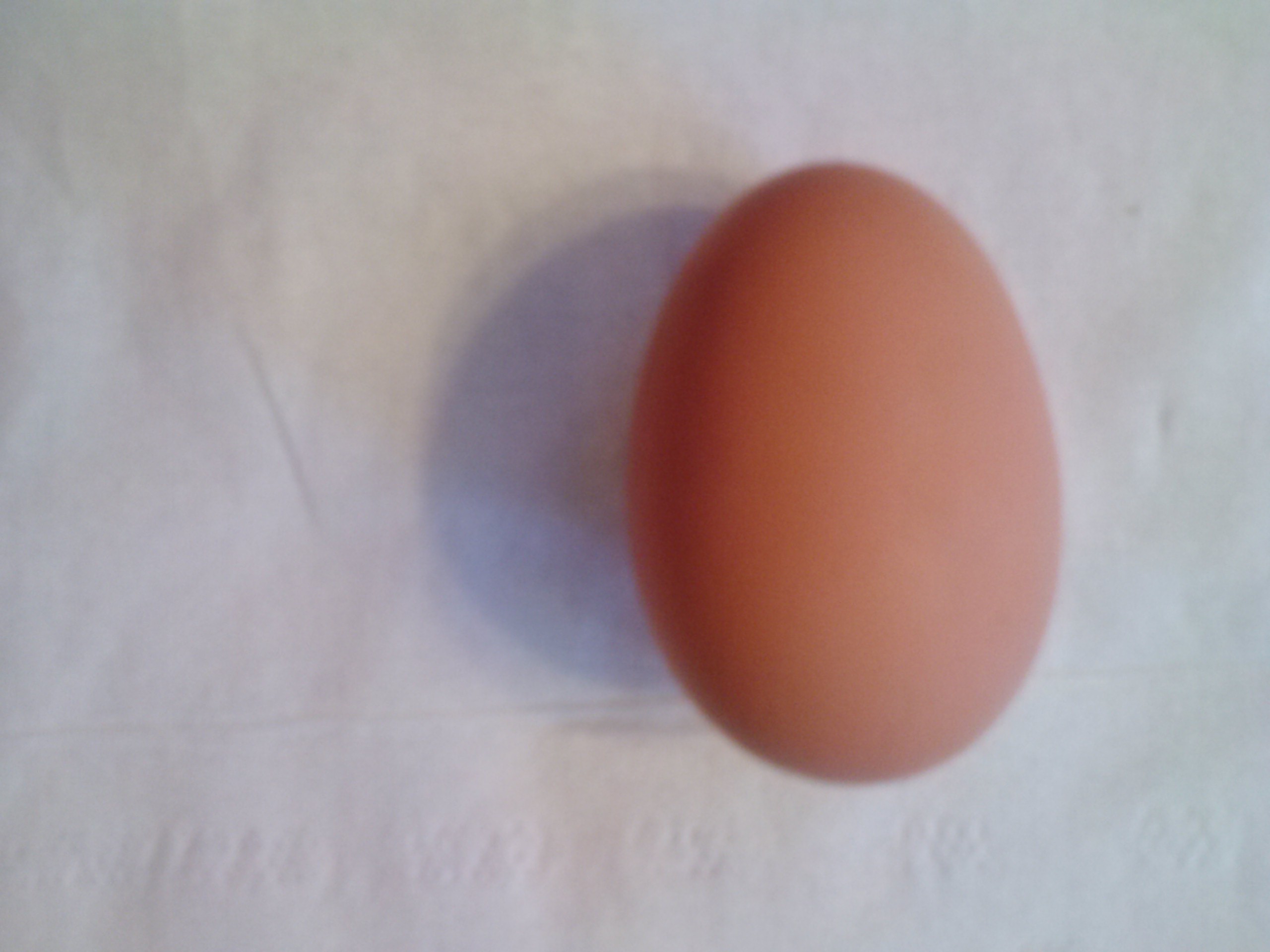 First Egg