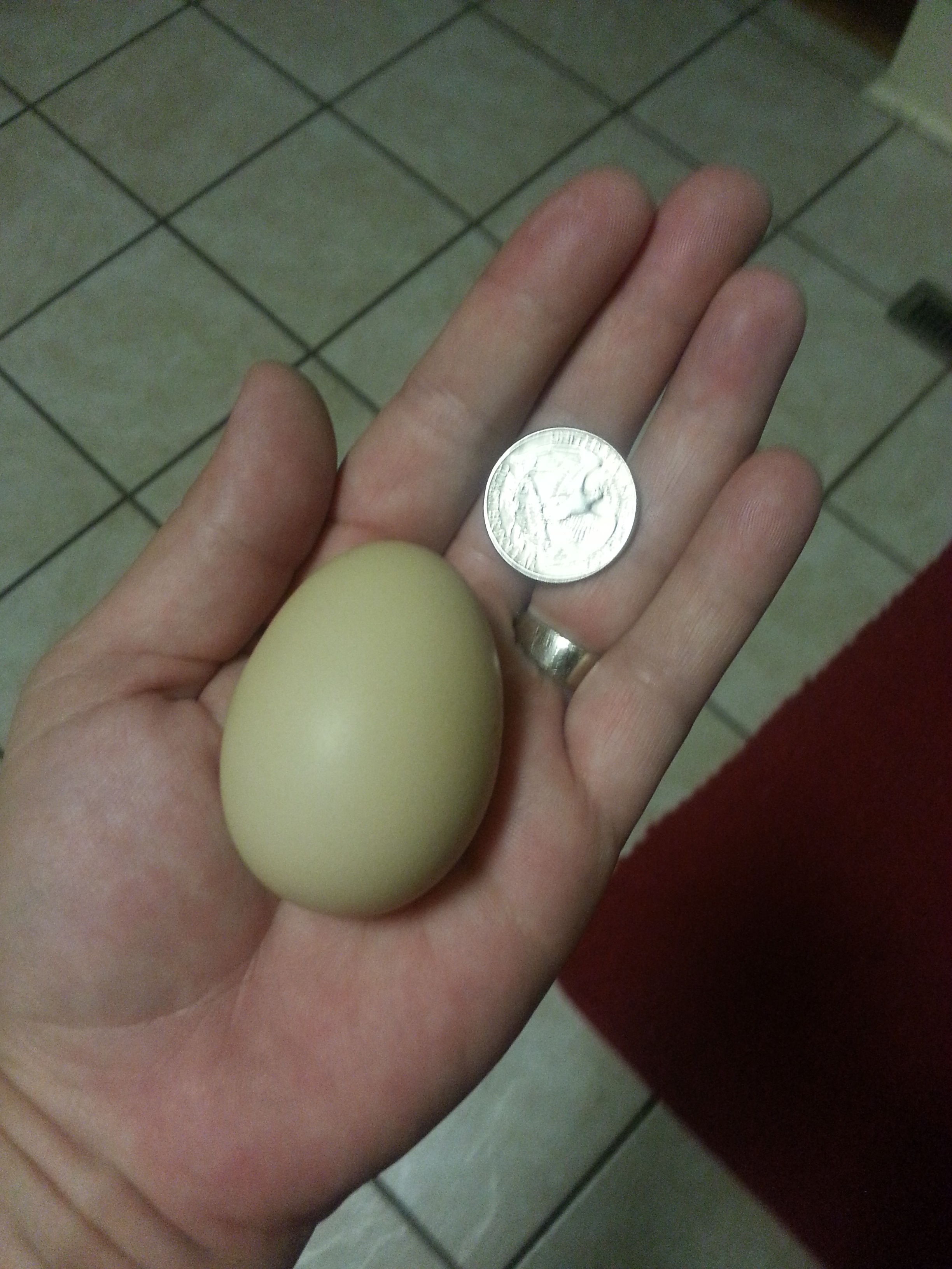 First egg