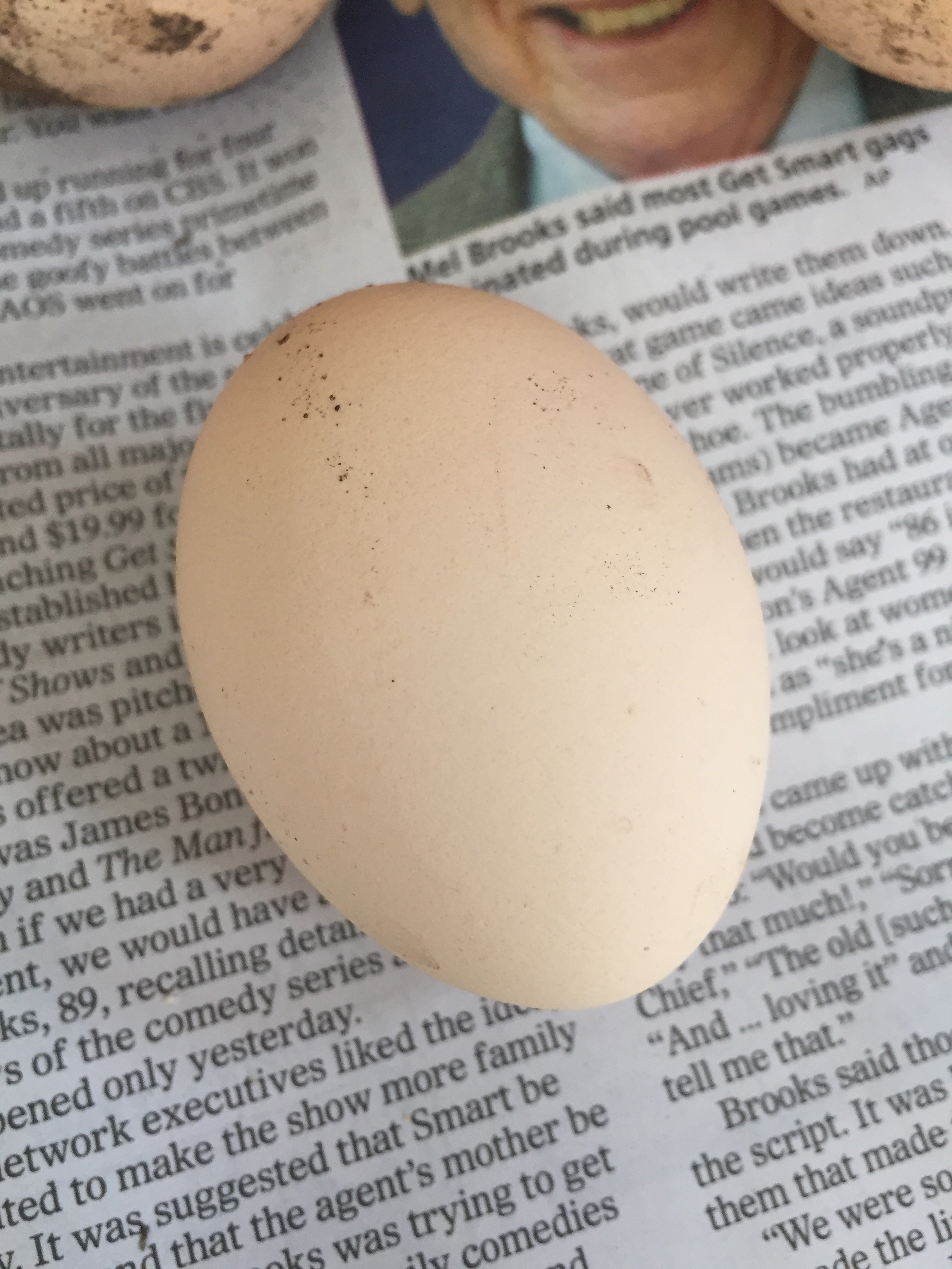 First egg