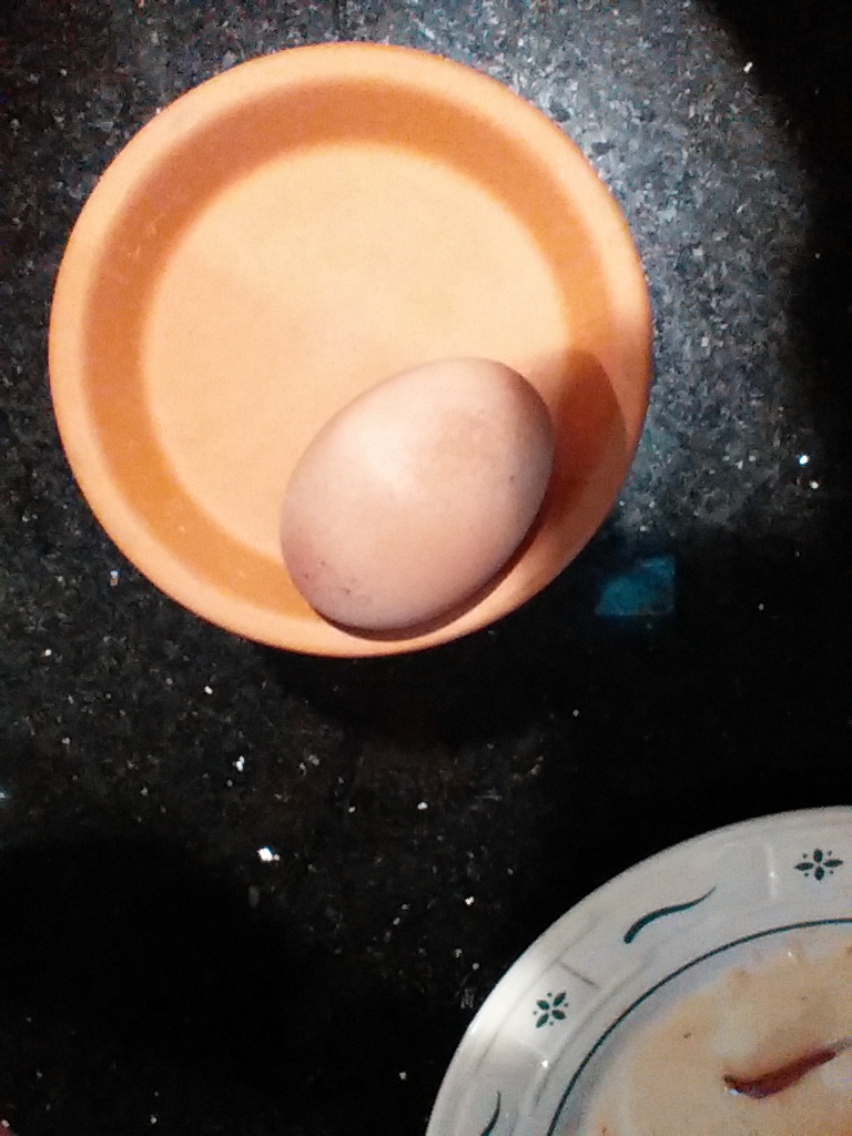 FIRST EGG!