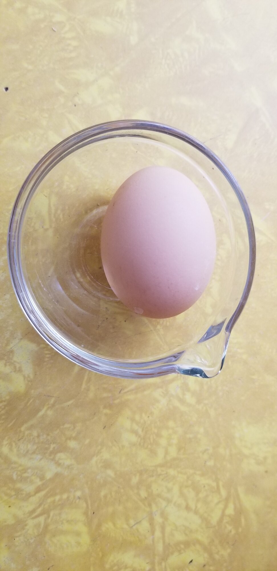 First Egg