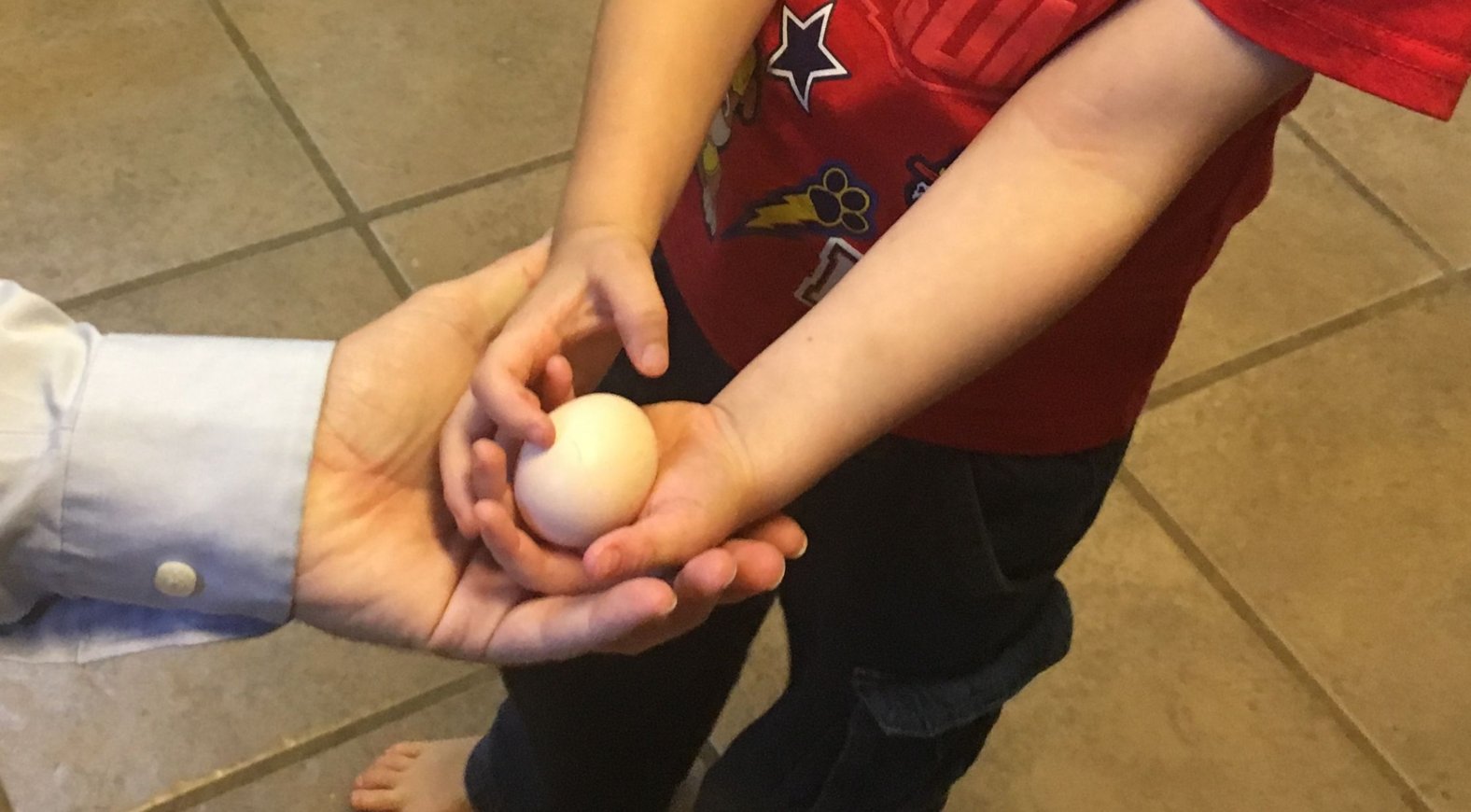 First egg!