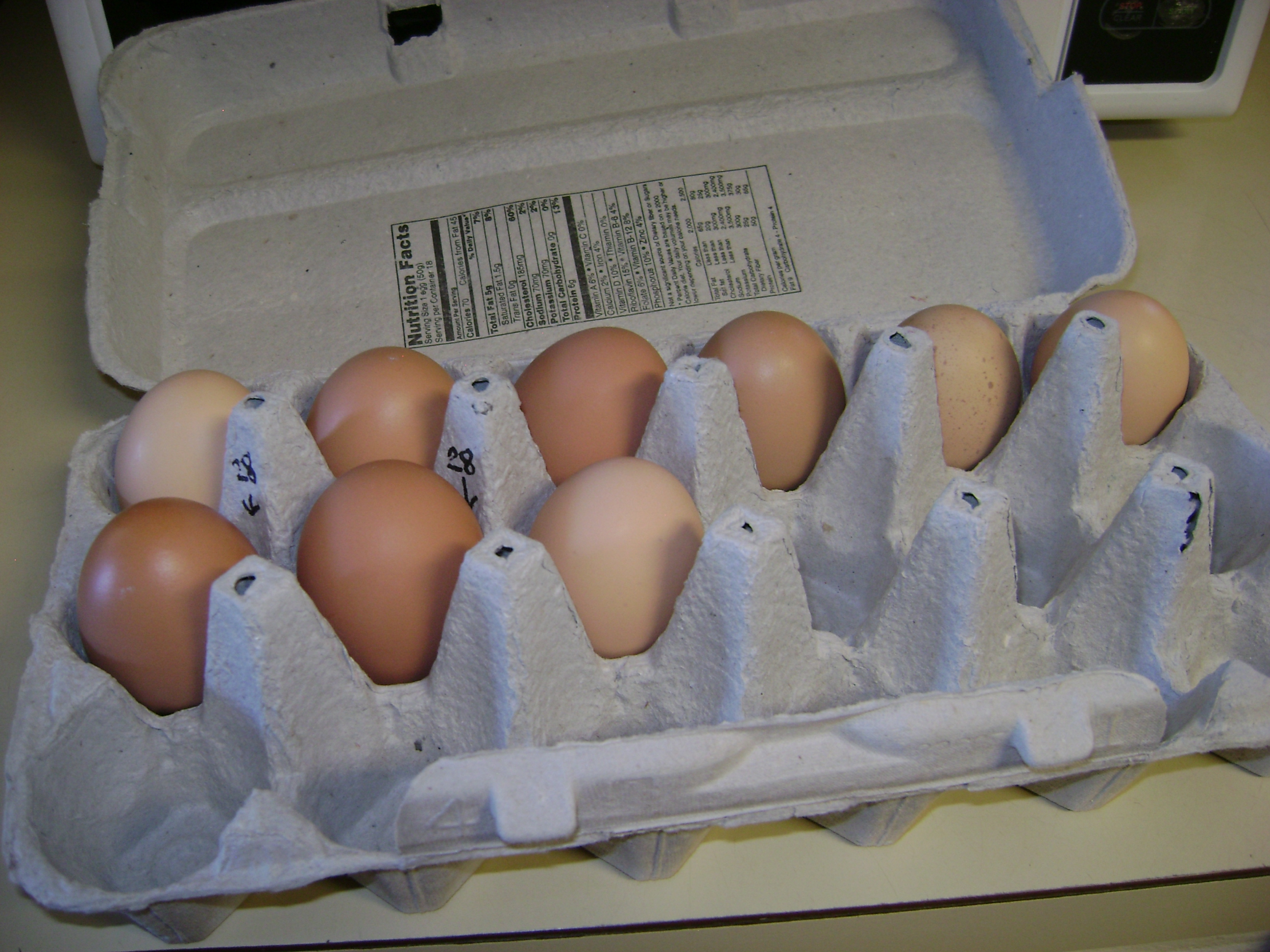 First eggs Dec 28, 2012