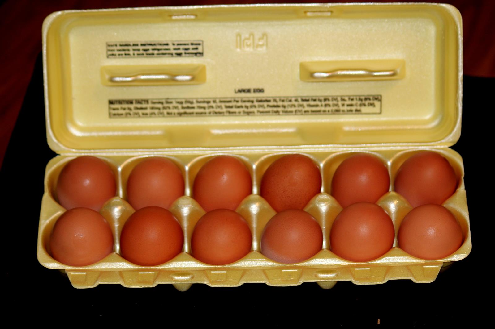 First eggs from Cinnamon Queens, 31 eggs first 5 days from 8 hens!