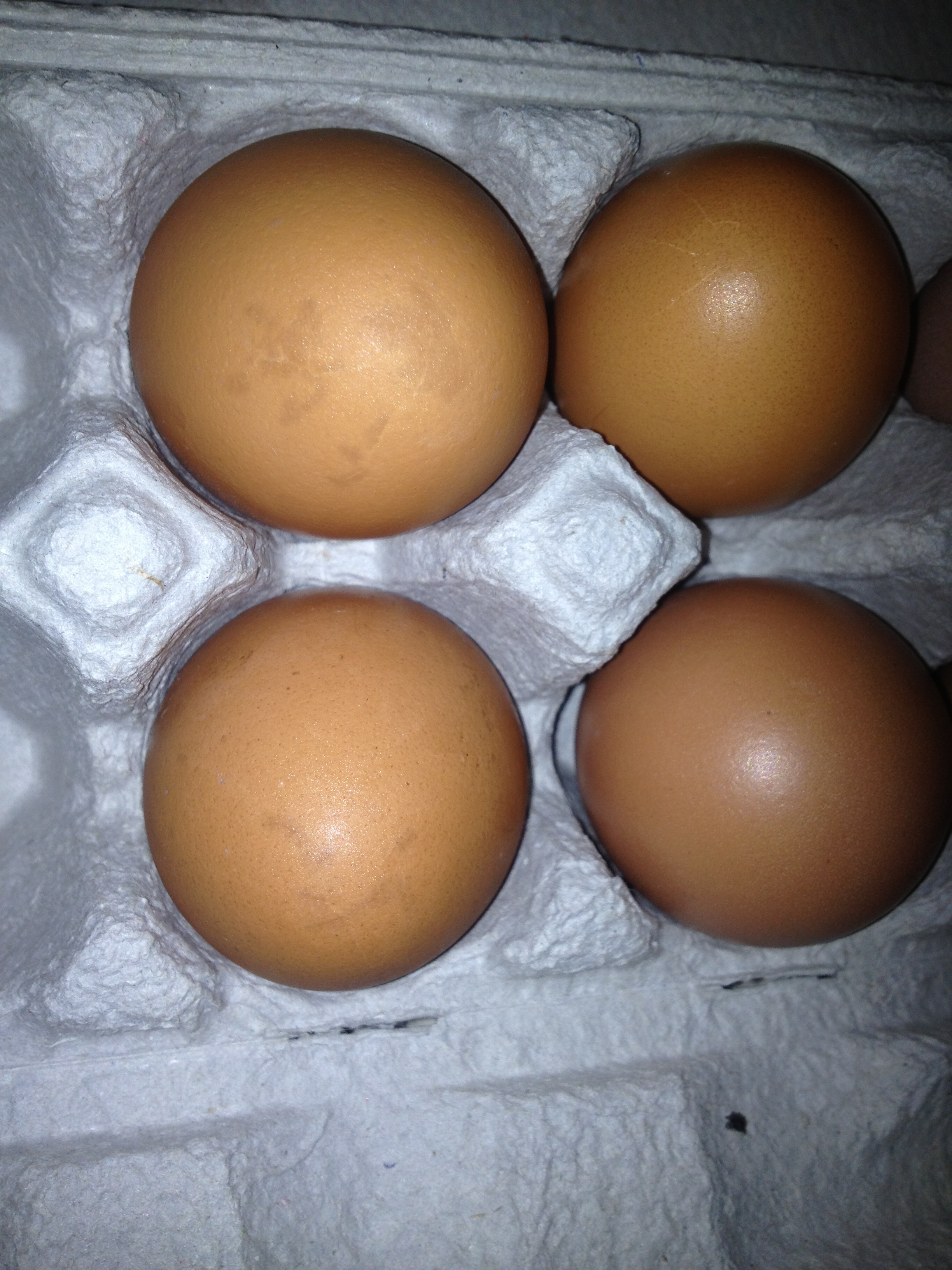 First eggs from six Isa Browns.  Aren't they beautiful?