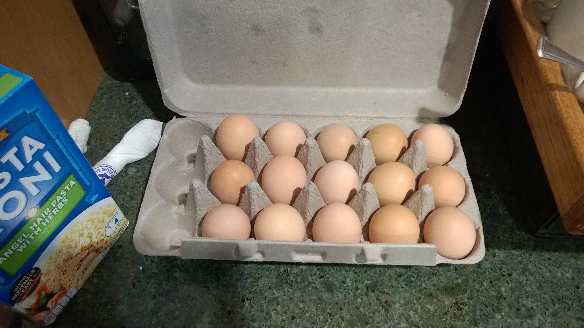 First Eggs (March 2016).jpg