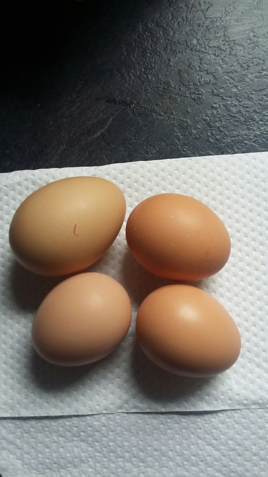 first Eggs