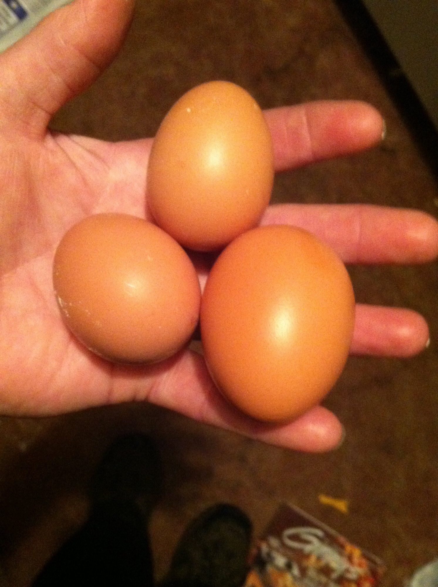 First eggs