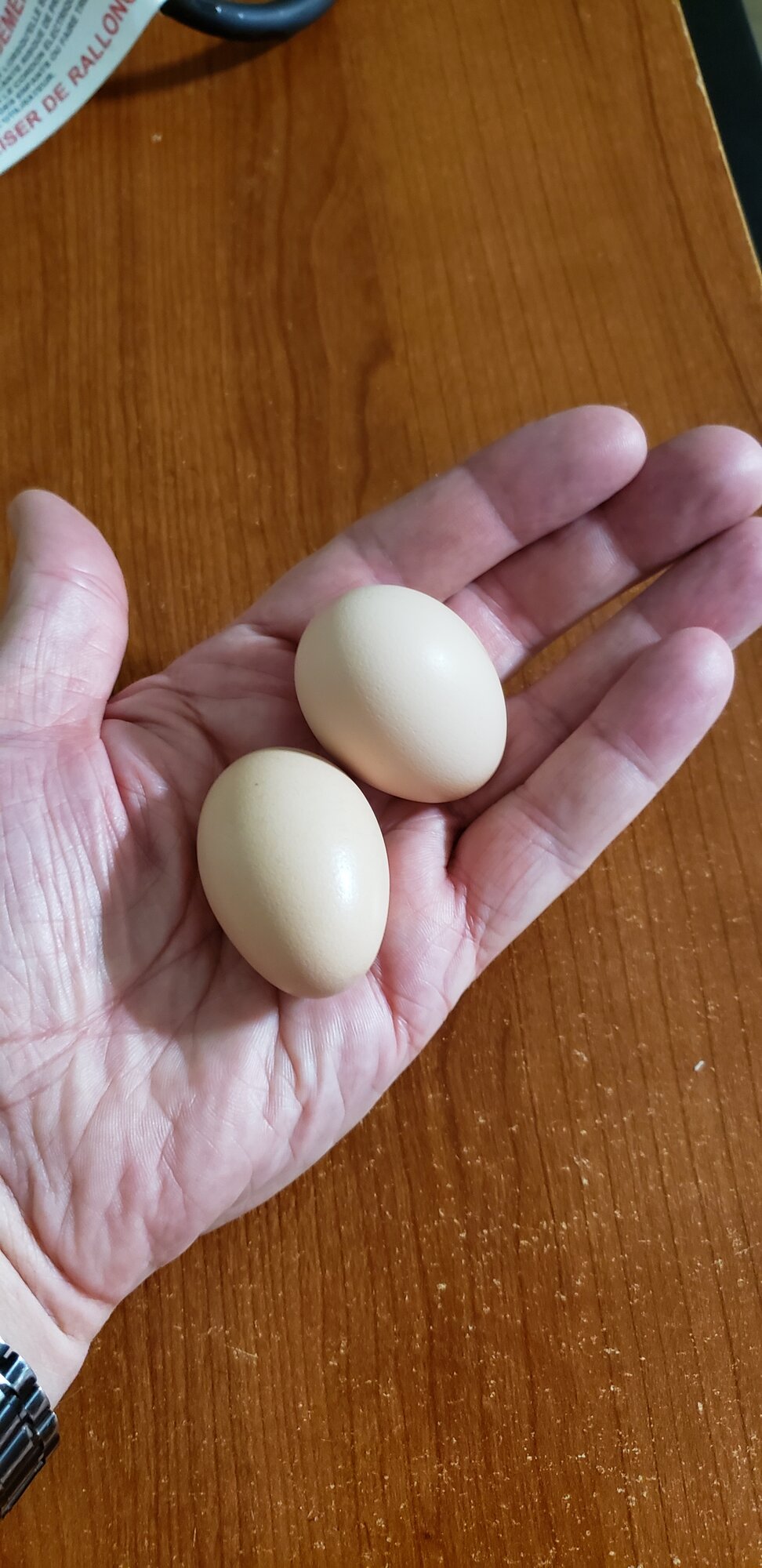 First Eggs