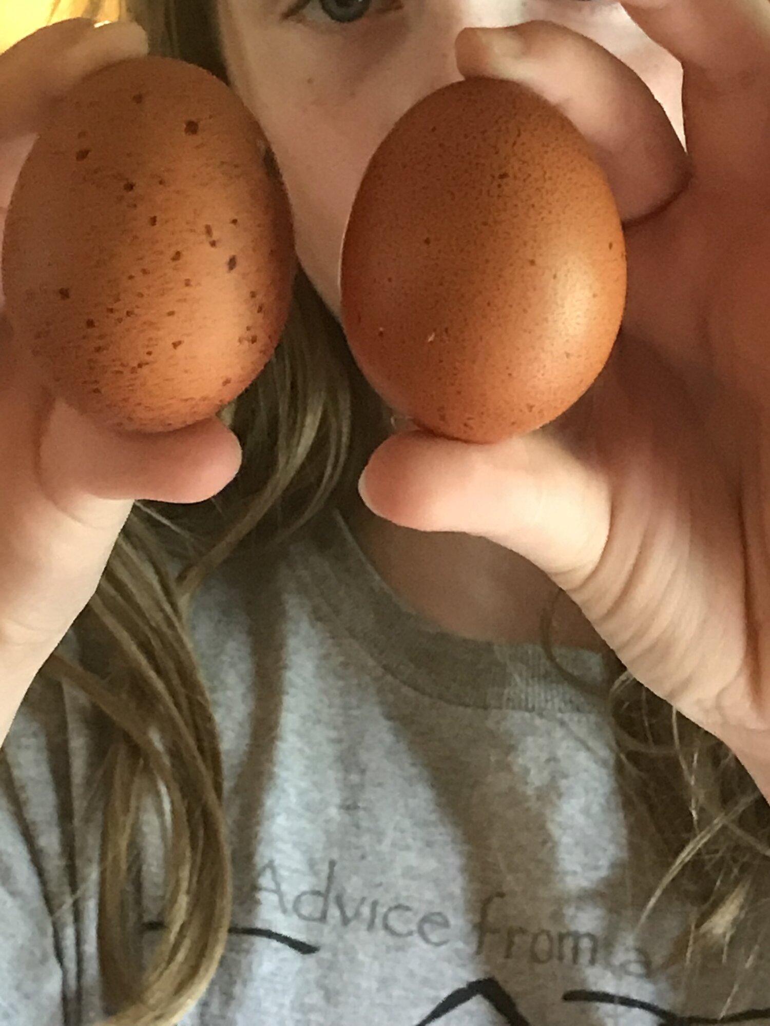 First eggs