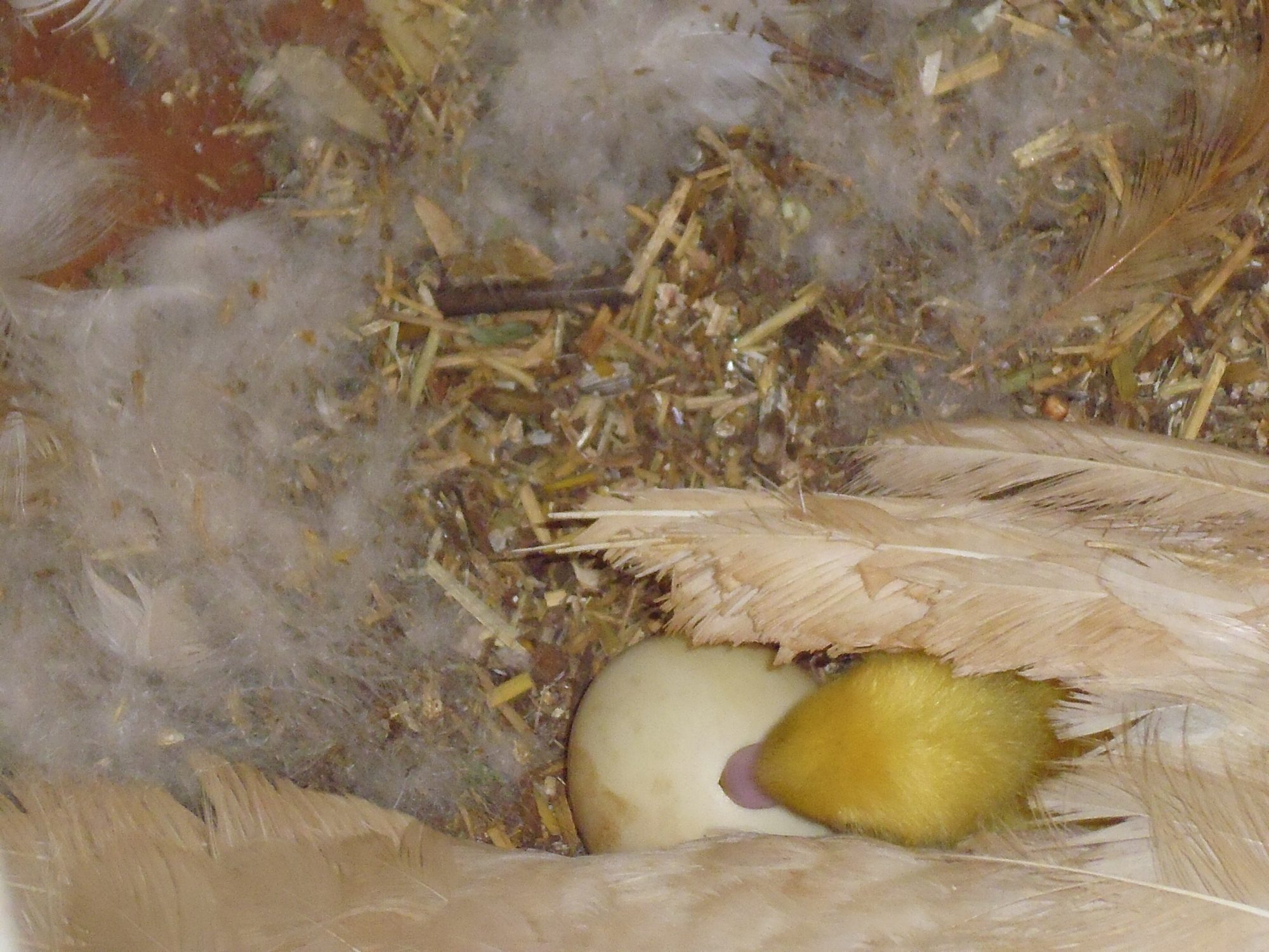First Glimpse! 19/3