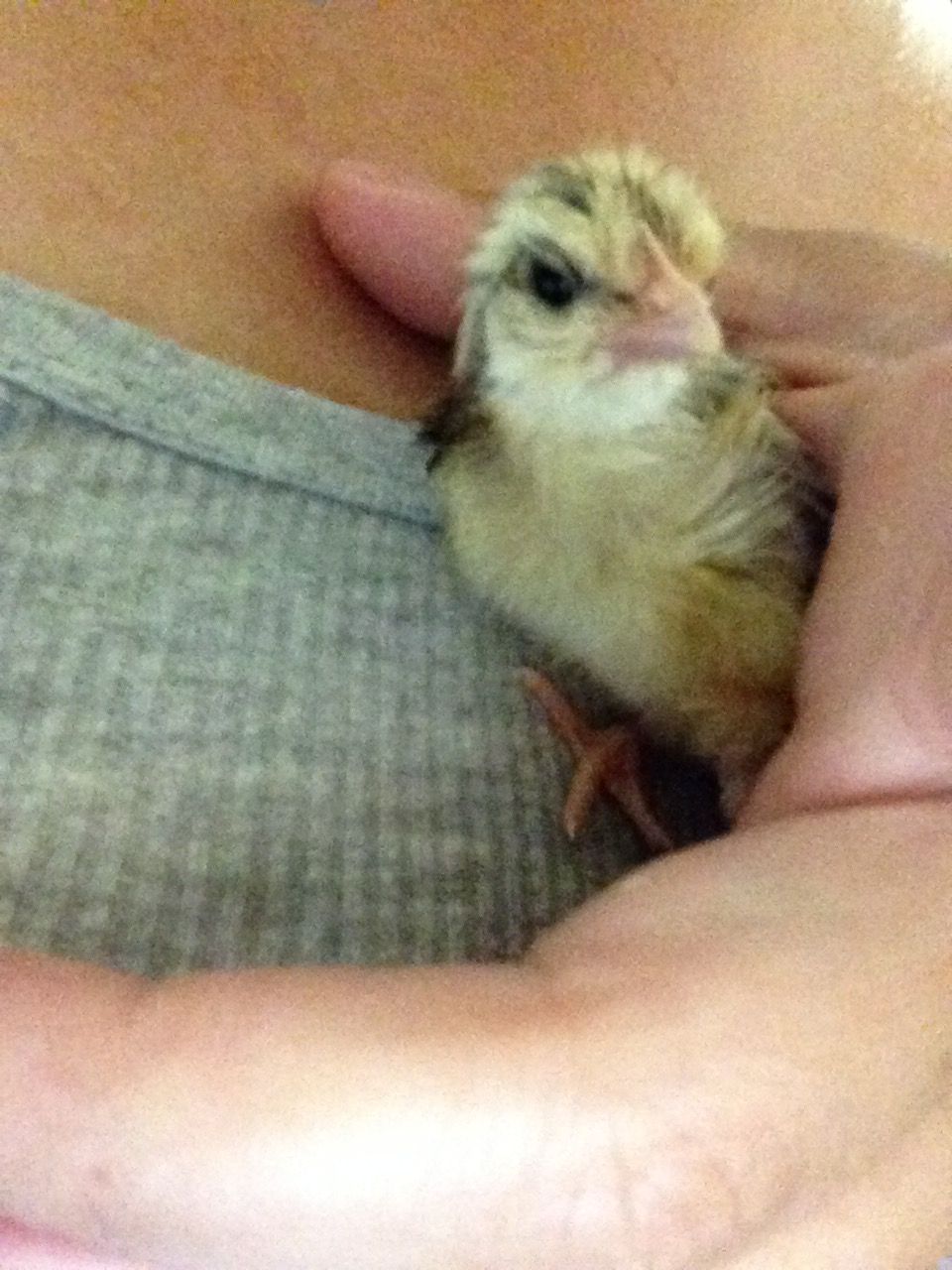 First hug!
