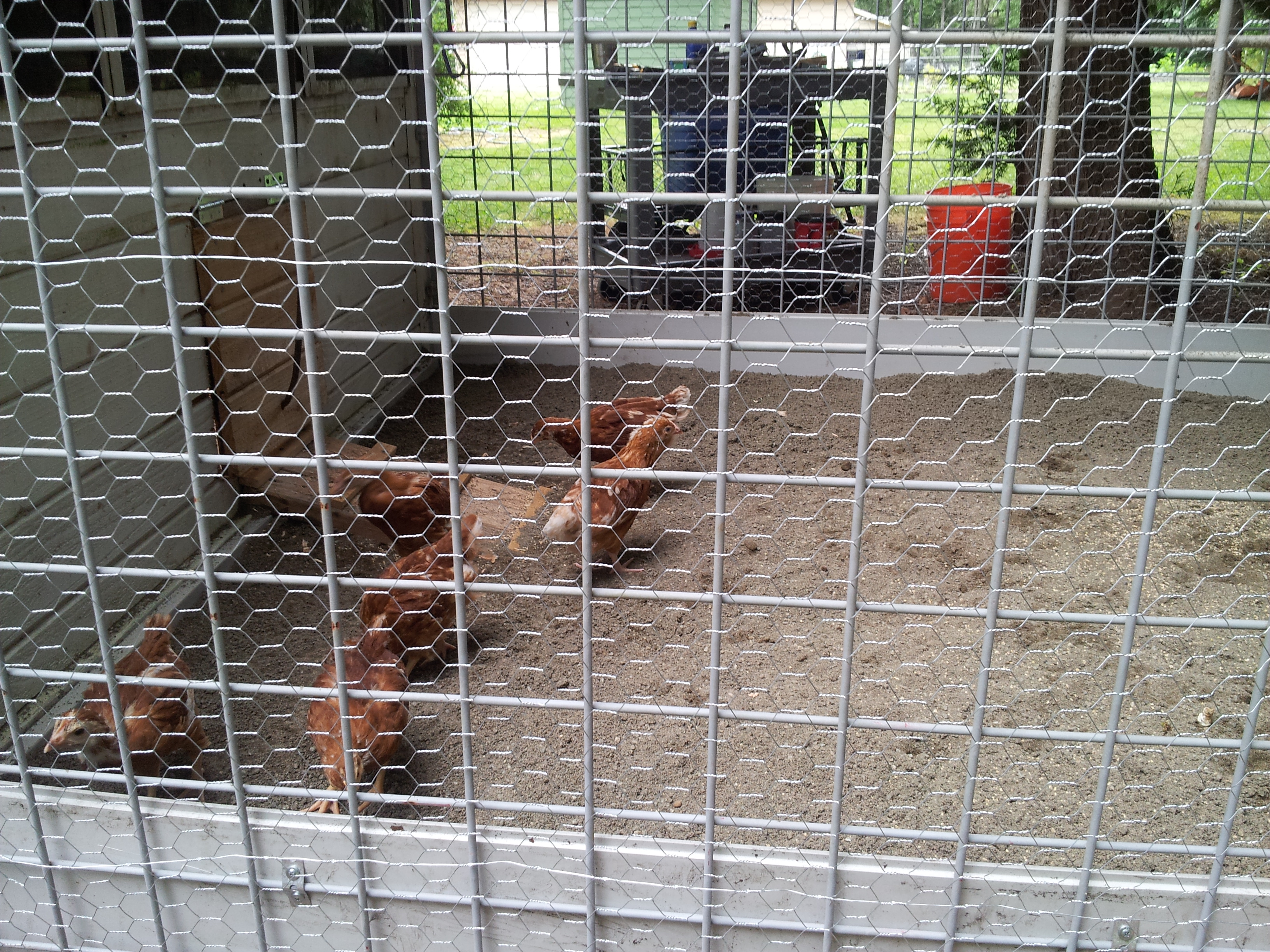 first intro to their new run