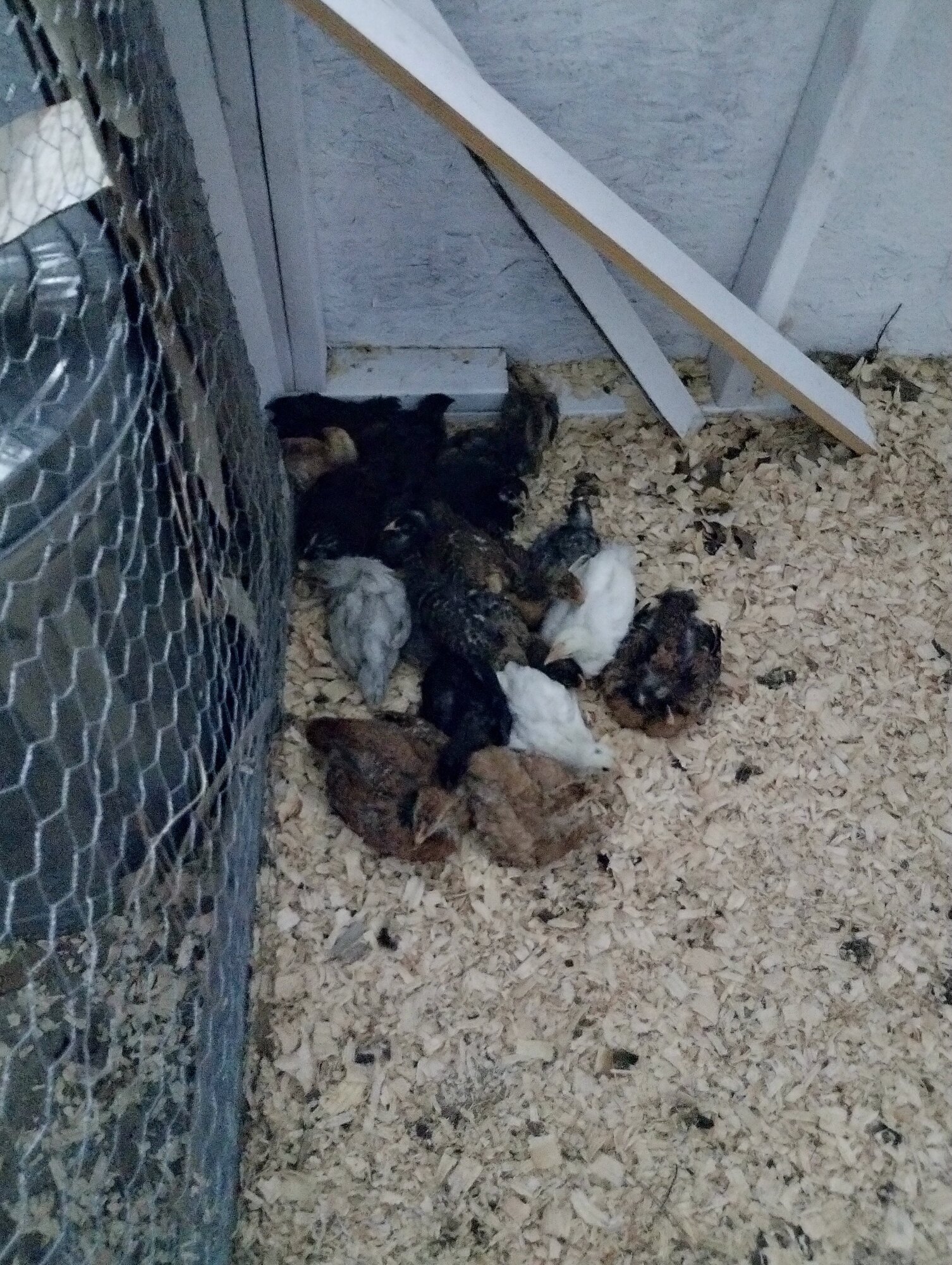 First Night in the big house!