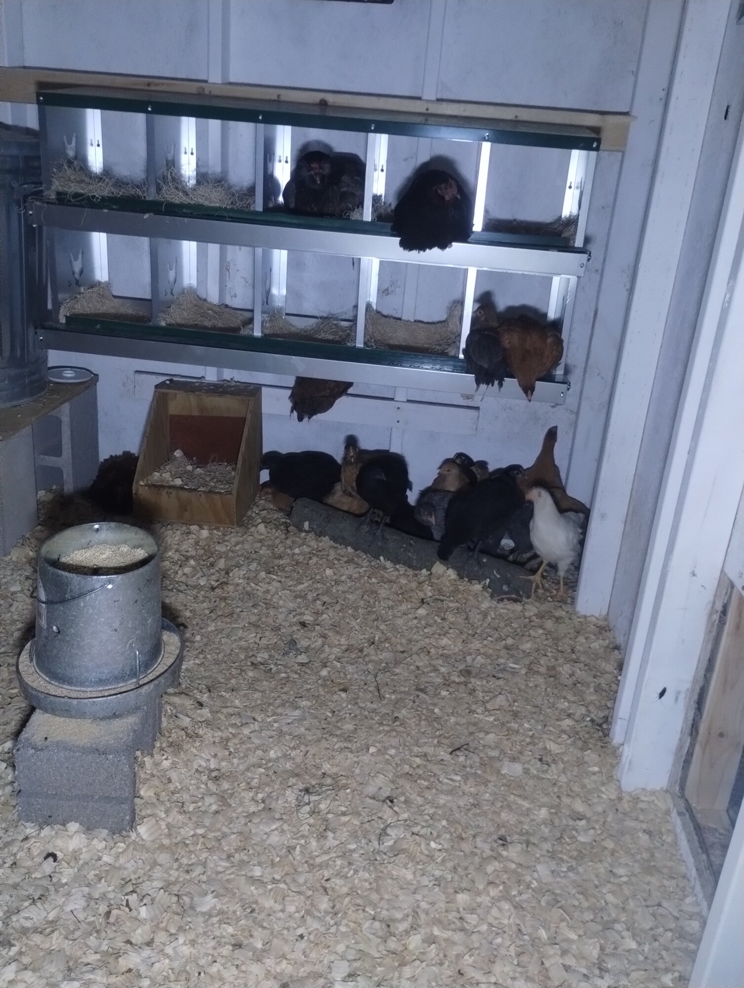 First Night. Most the littles hiding in the corner!