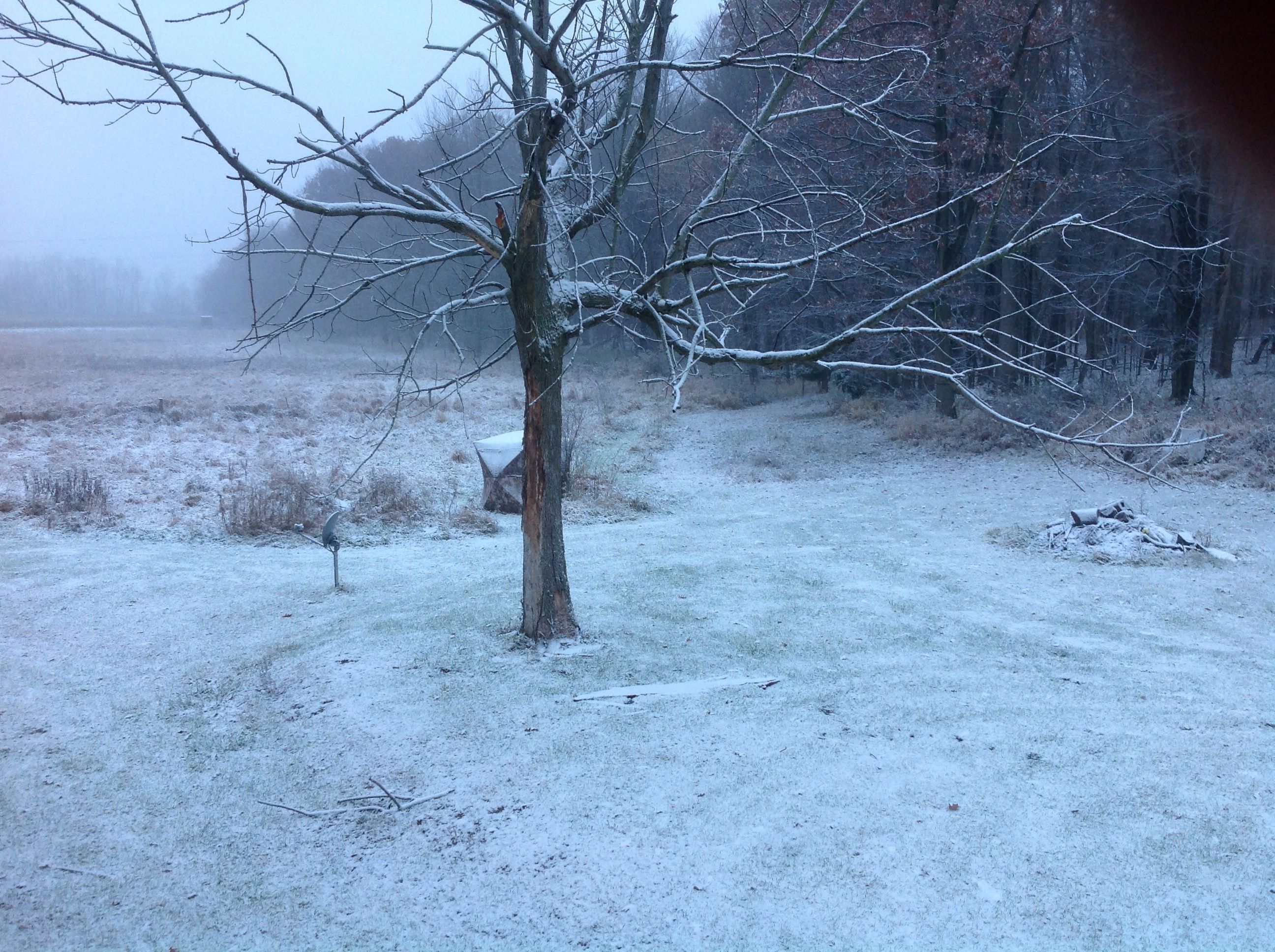 First "real" snow, 11 Nov 13. Can see my blind kind of behind tree. Had about 1" powder when it was done.