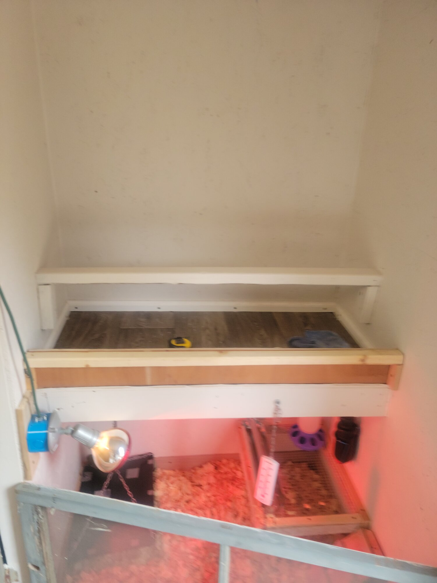 First roost before edit.jpg