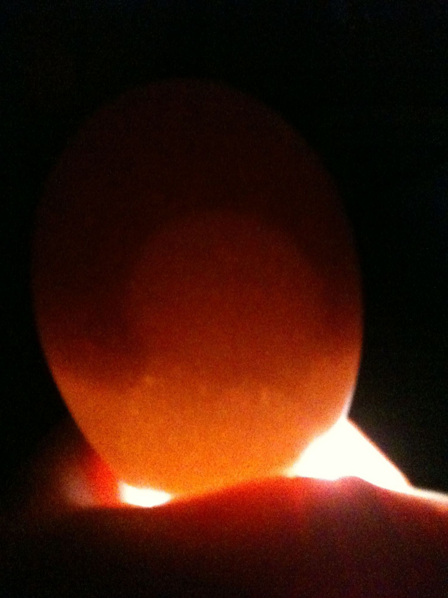 First sign of life and it has a detatched air cell...