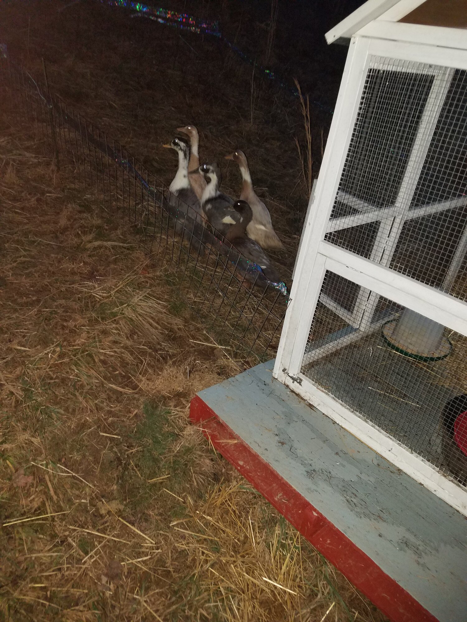 First steps outside
