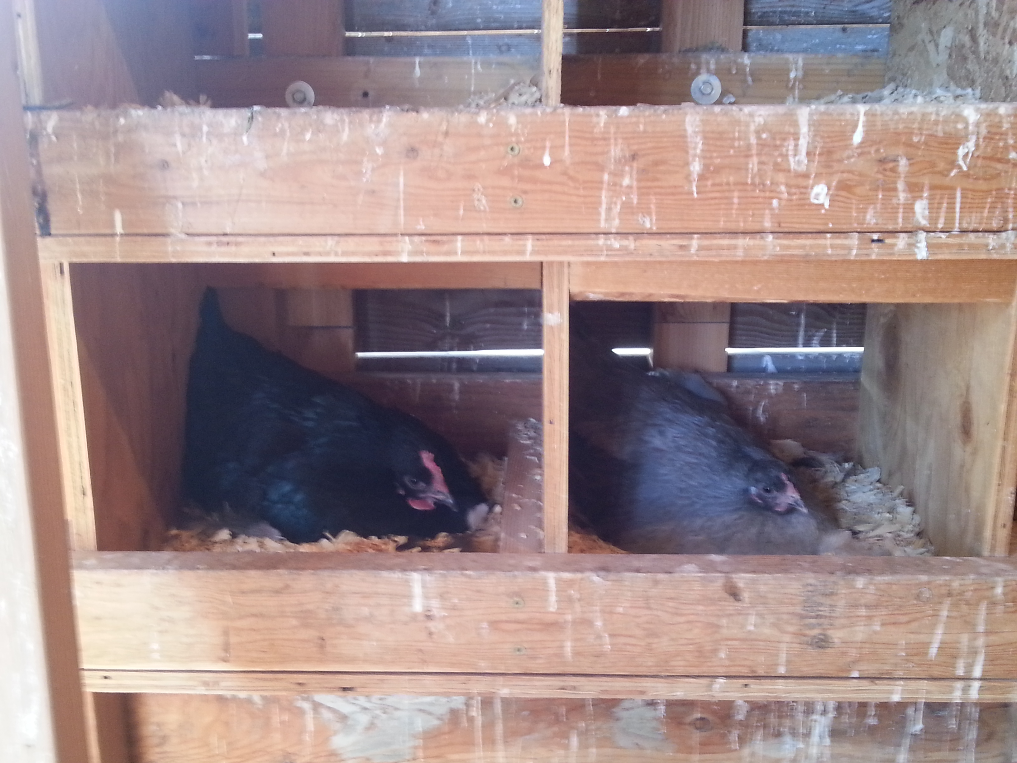 First there were two.