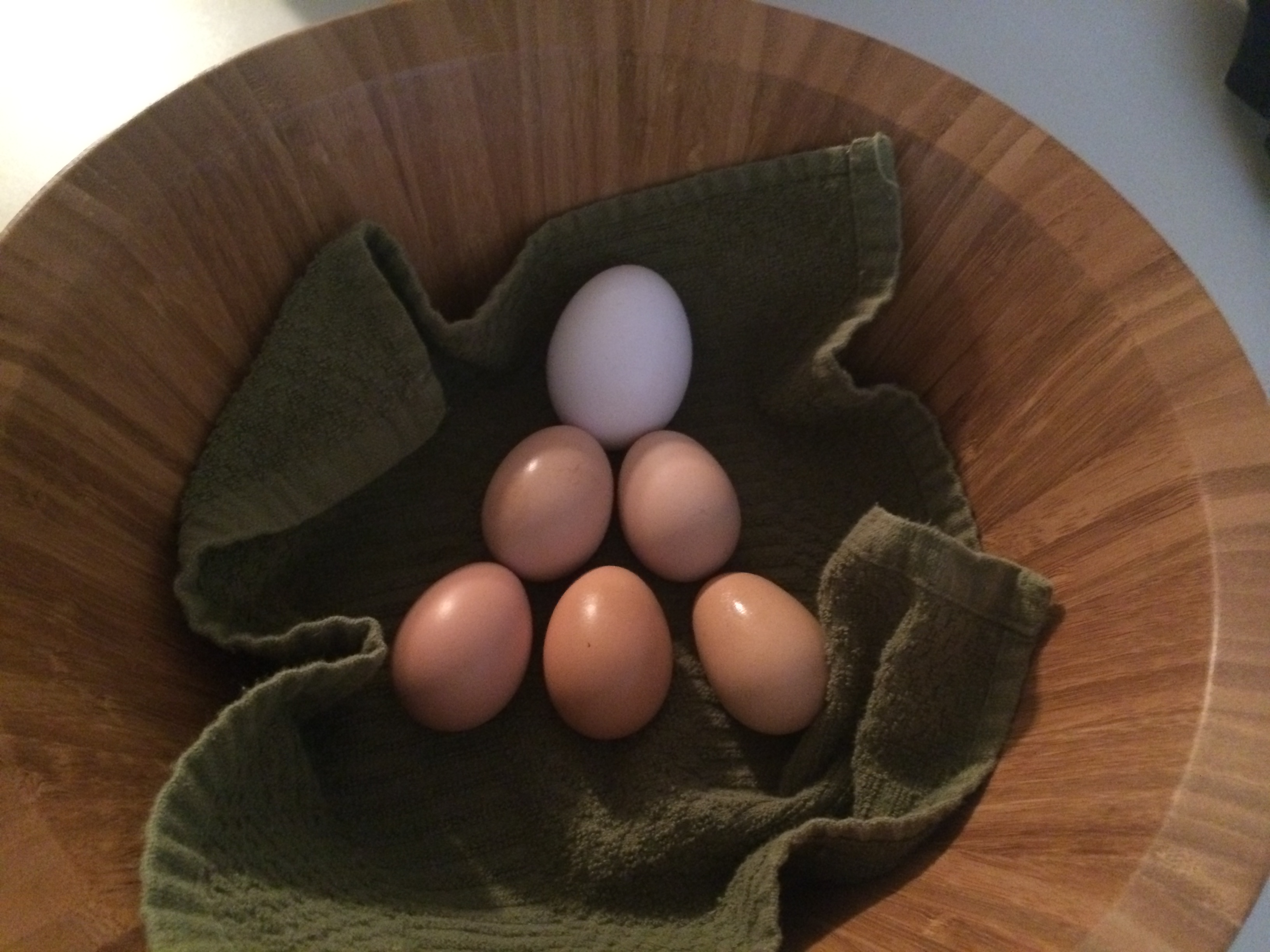 First three days of our chickens egg laying plus store bought