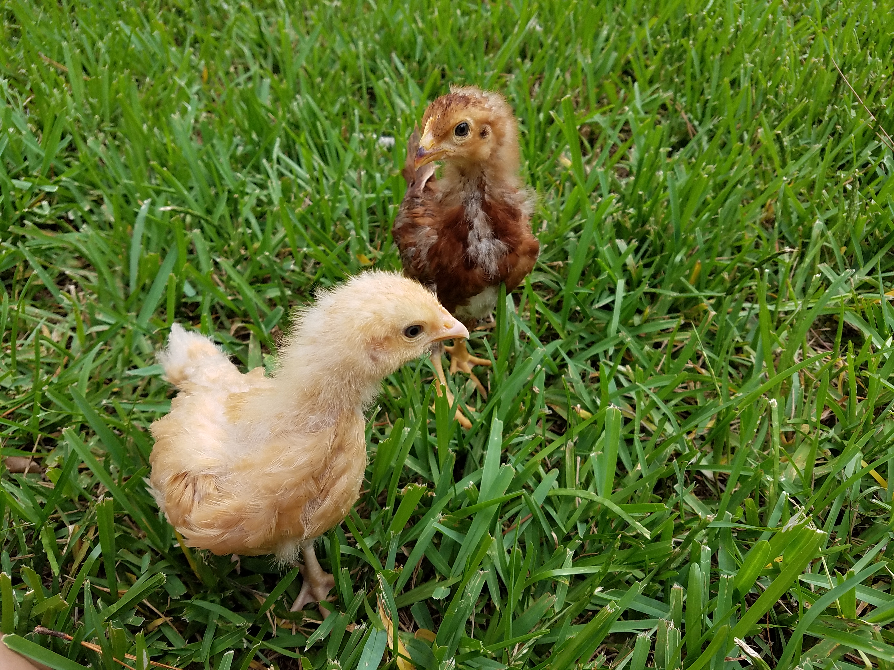 First time outdoors!