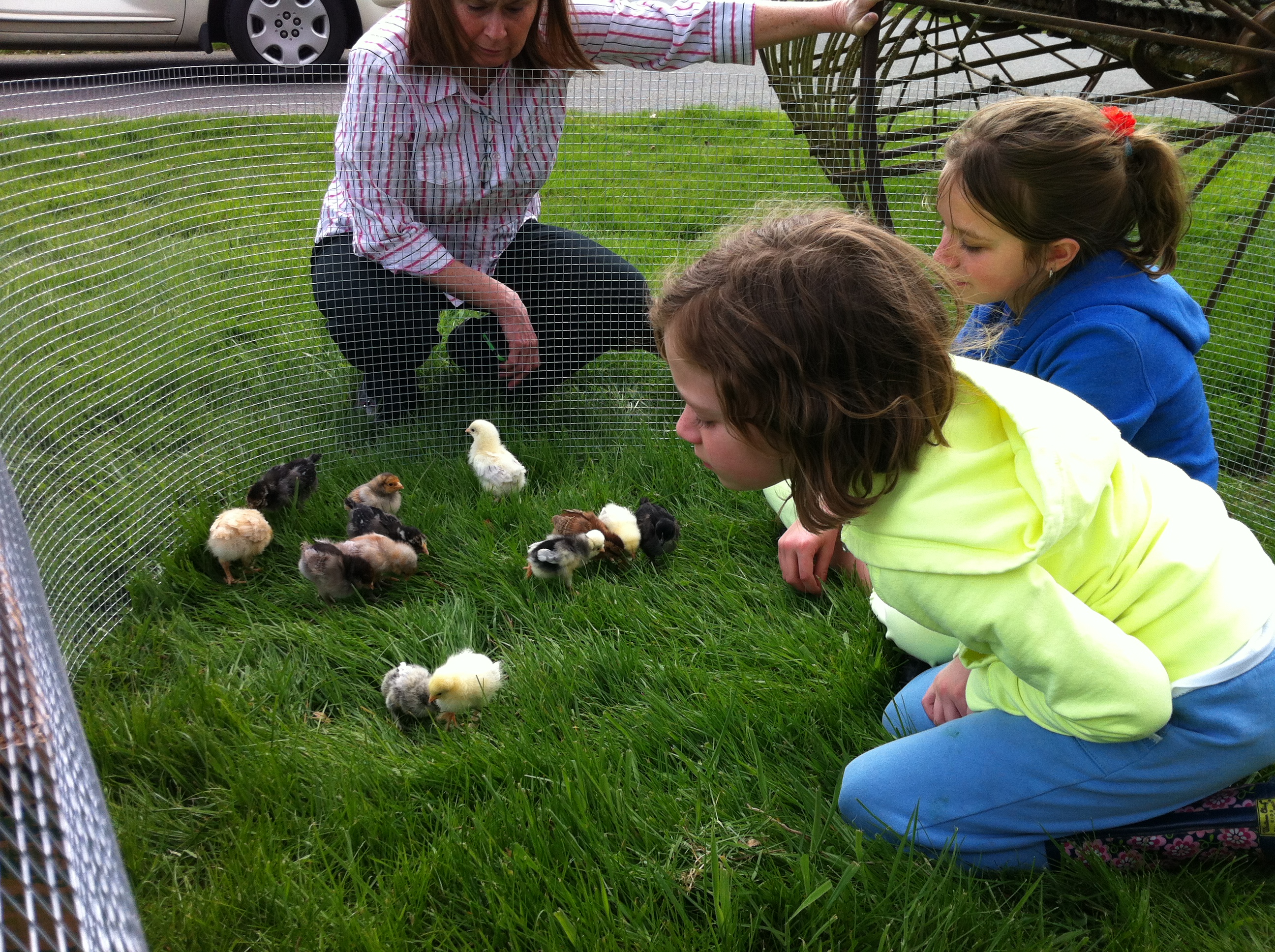 First time outside, granddaughters help