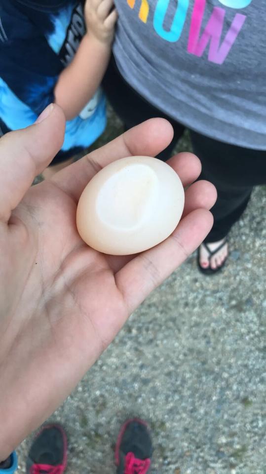 First time seeing a soft shelled egg