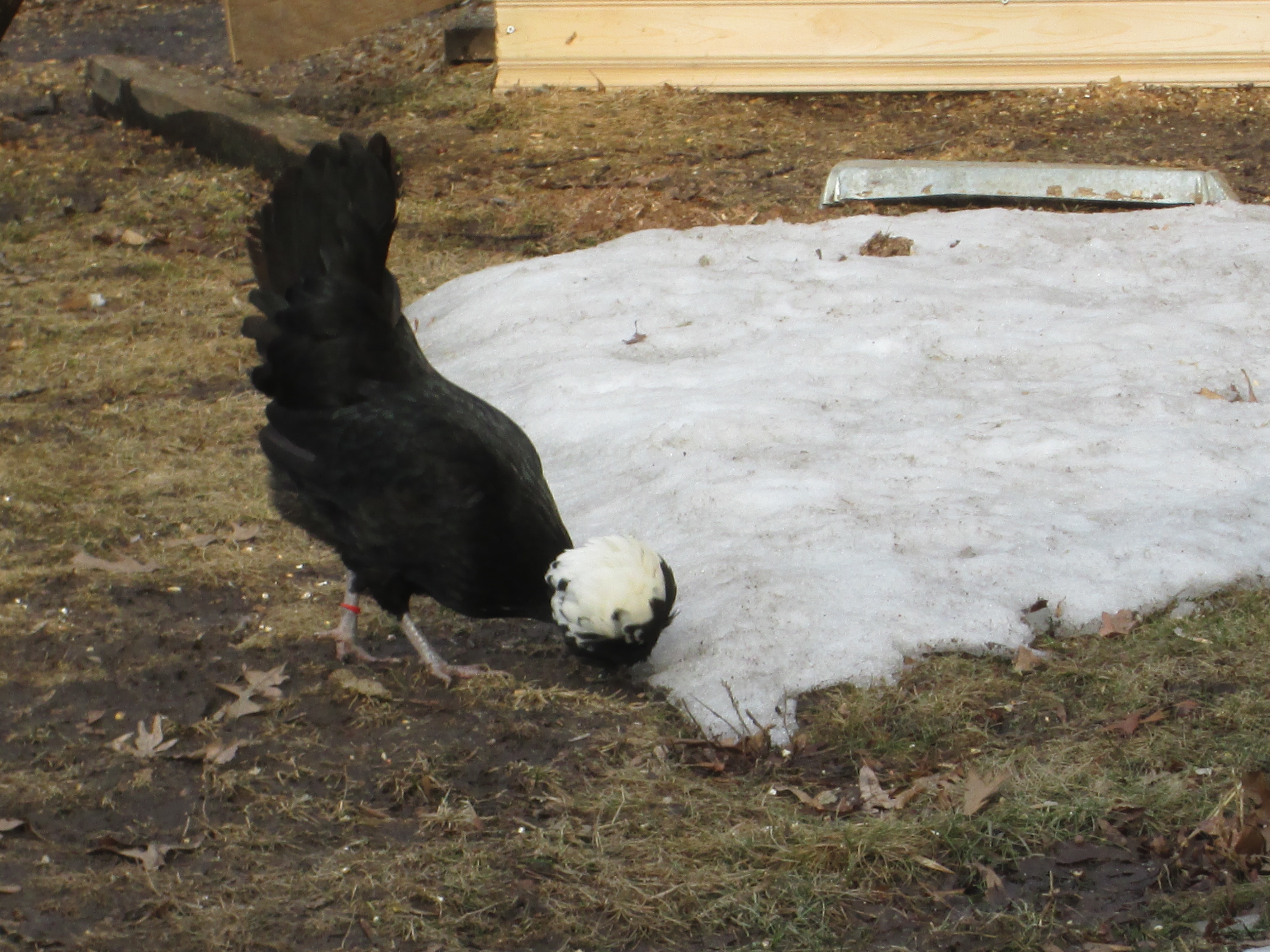 First time she gets out and about in 2014