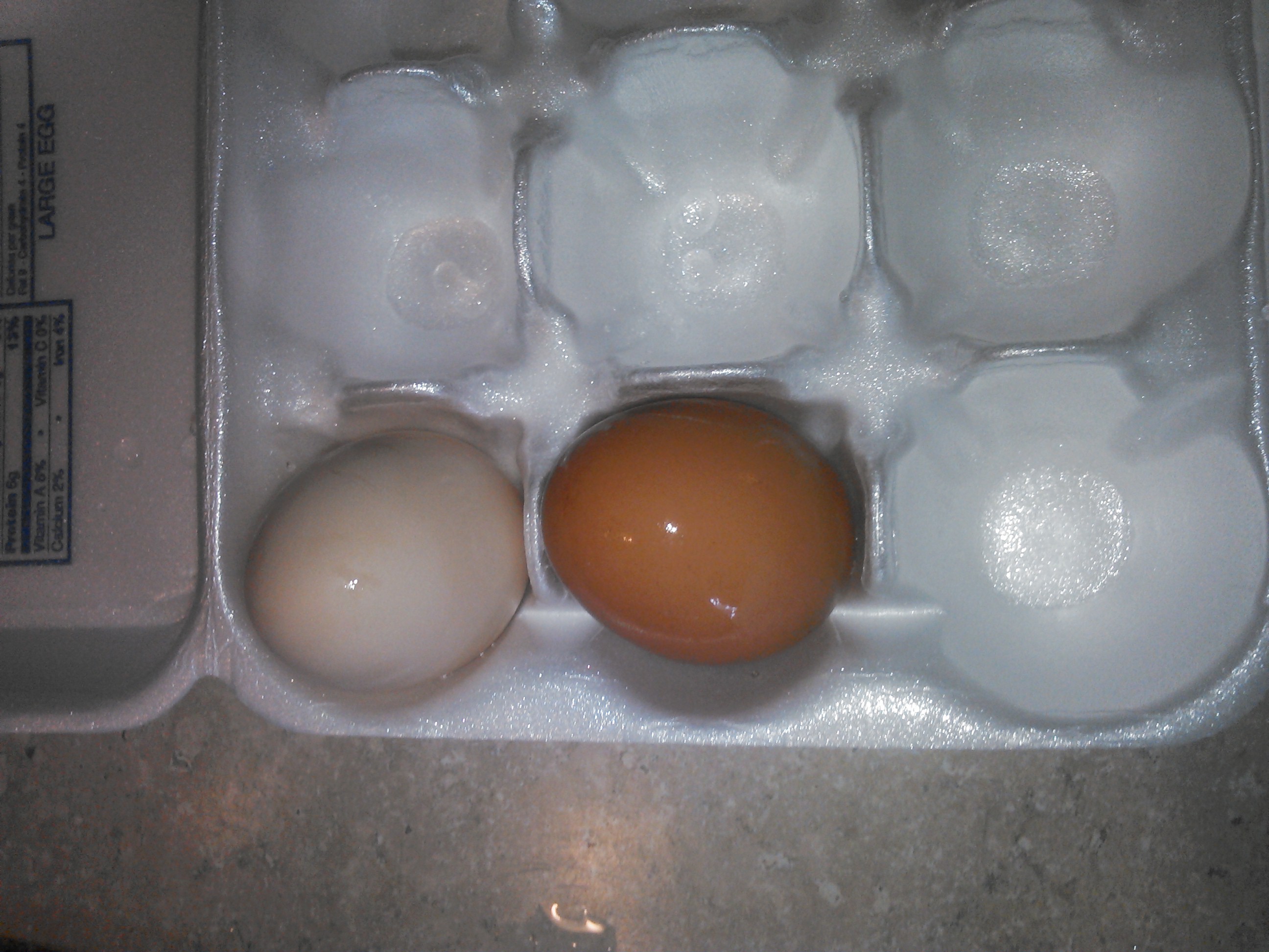 First two eggs