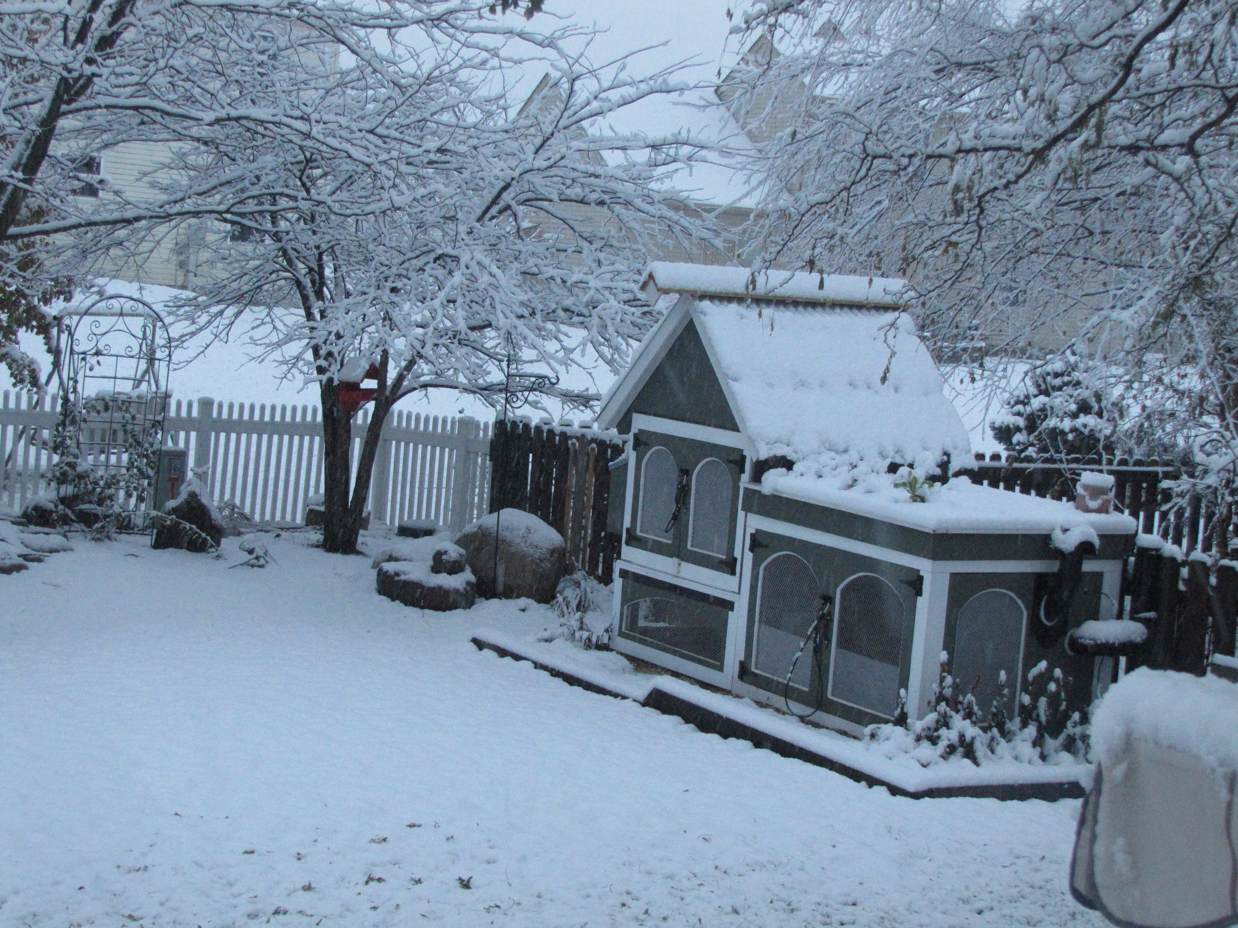 First Winter / First Snow Fall 2014