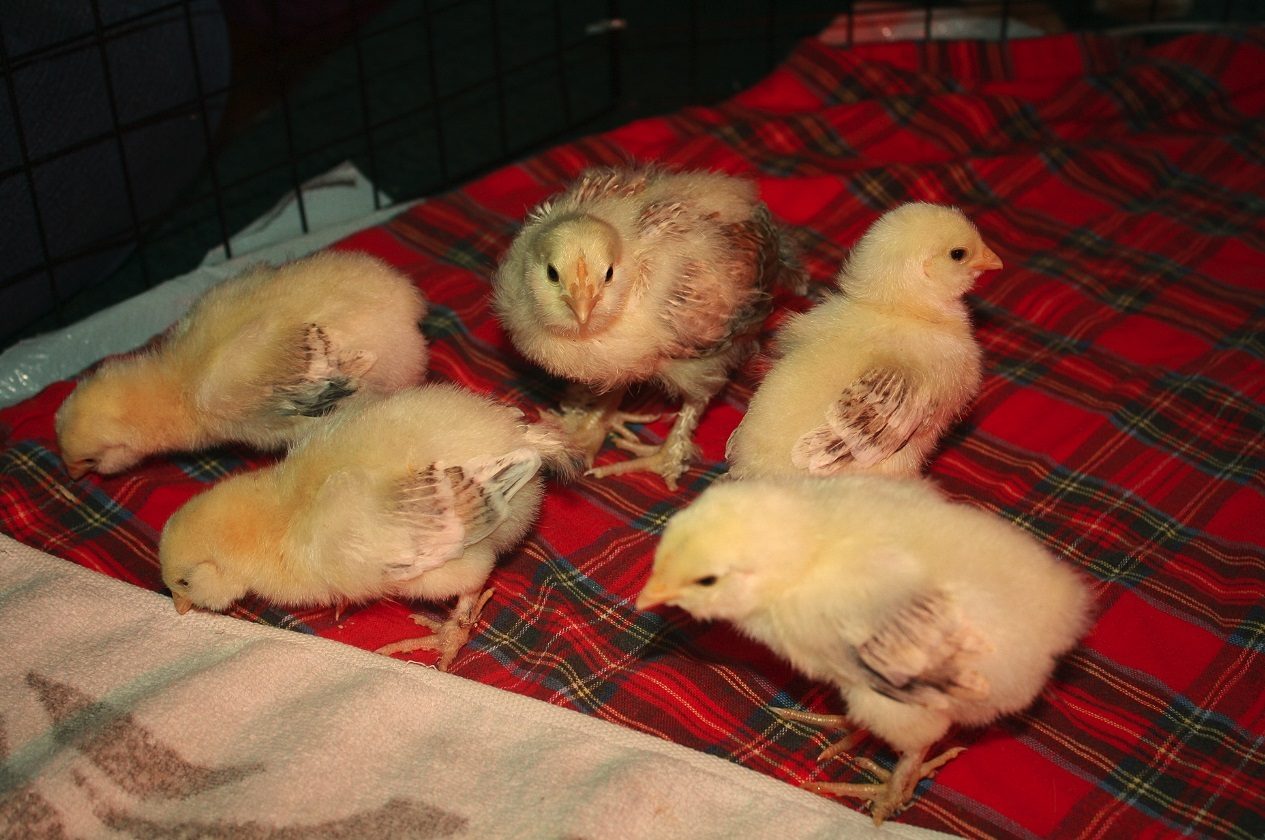 five of the seven =)