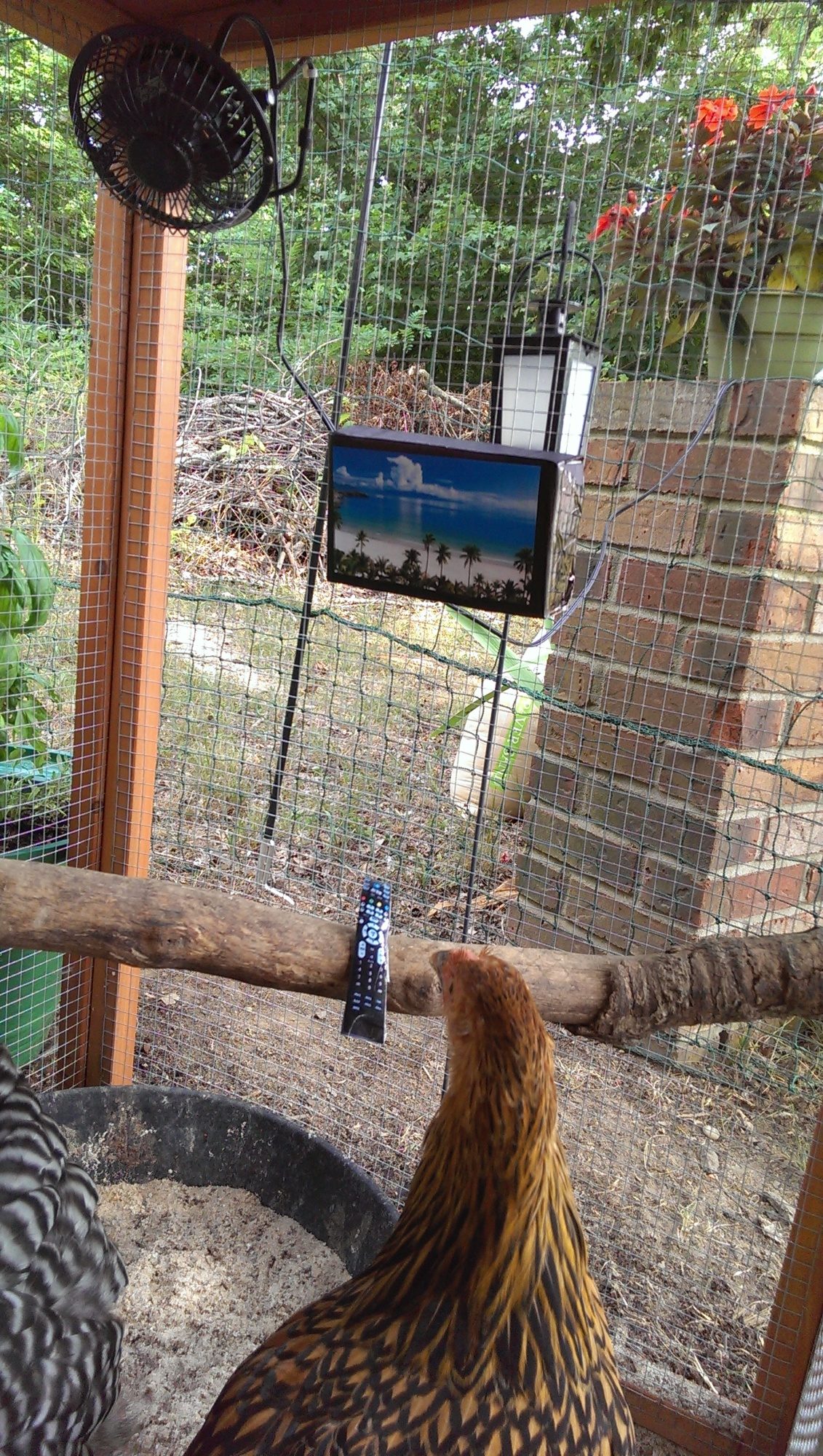 Flat screen with remote