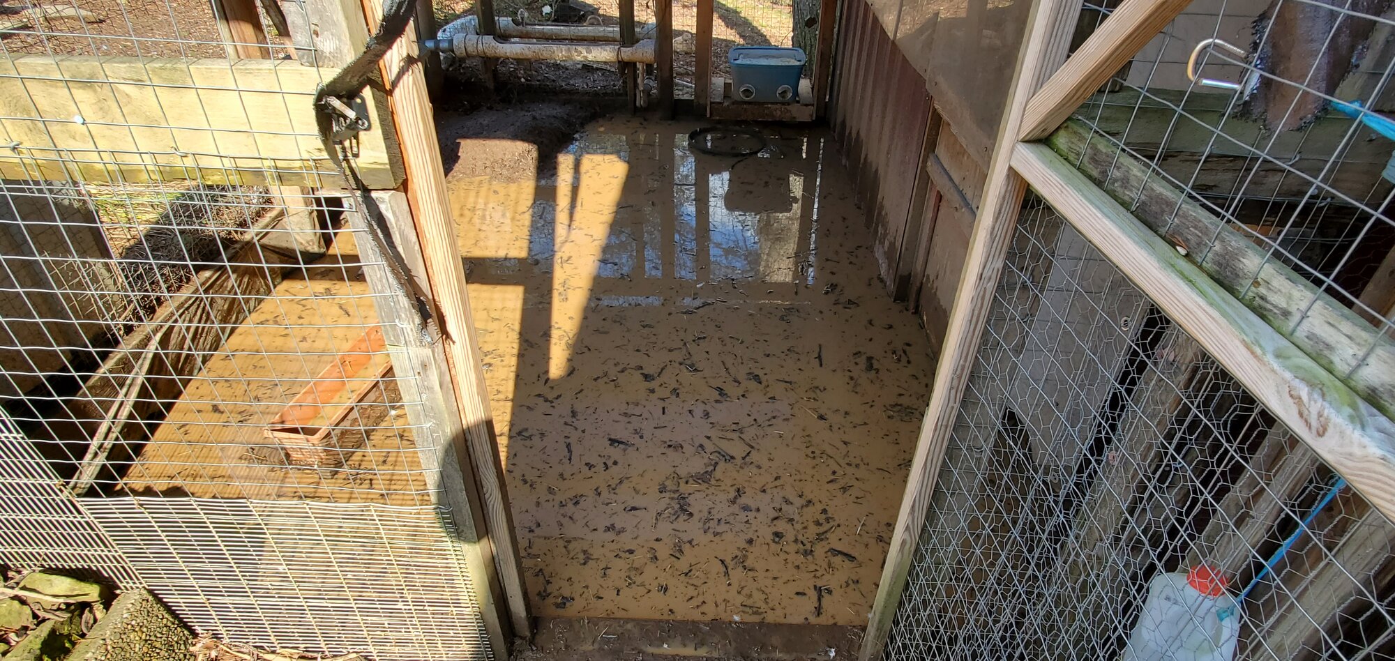 Flooded Duck Run afte overnight Snowstorm,