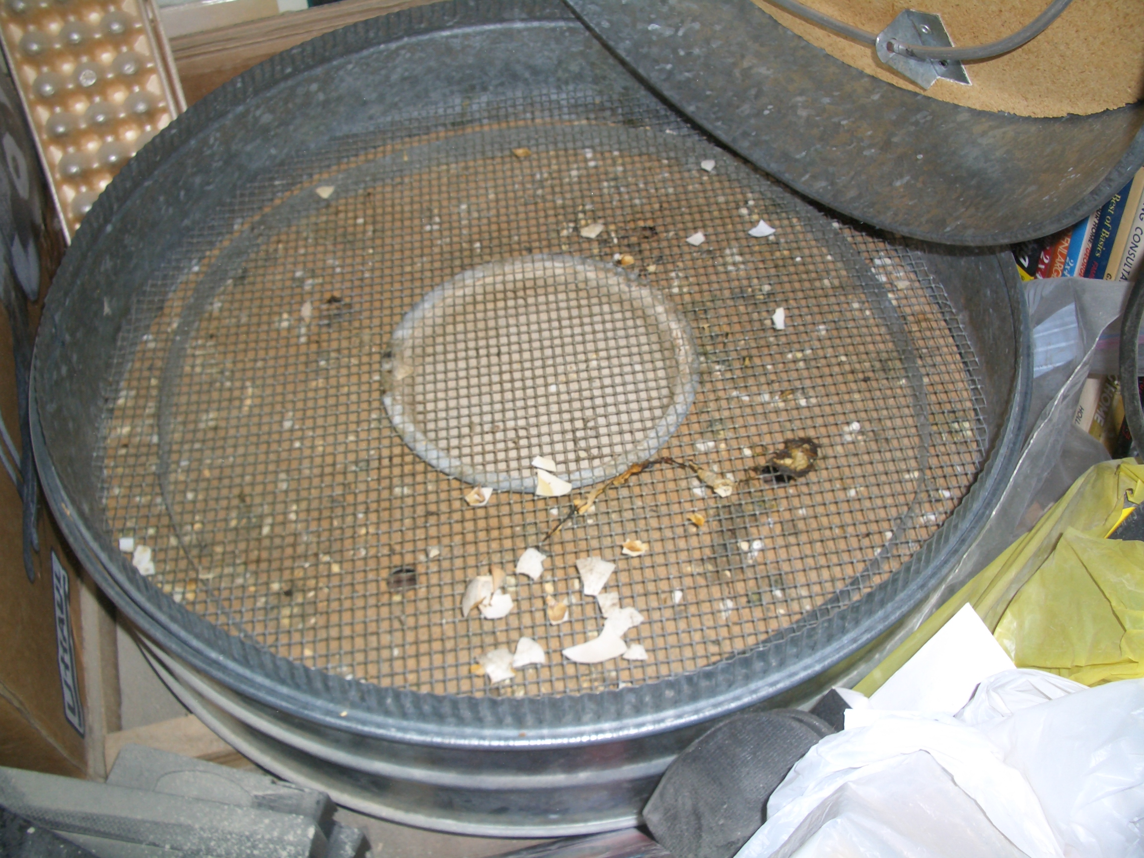 Floor and water pan. Please excuse the mess.