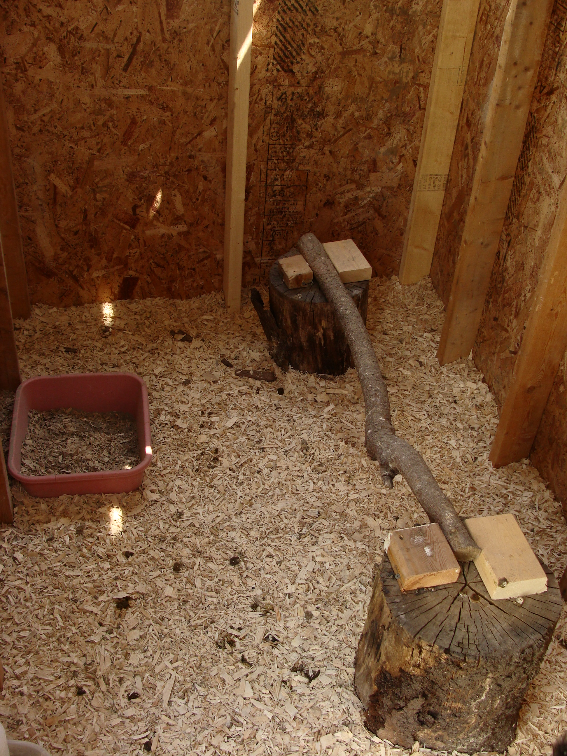 floor with temporary perch