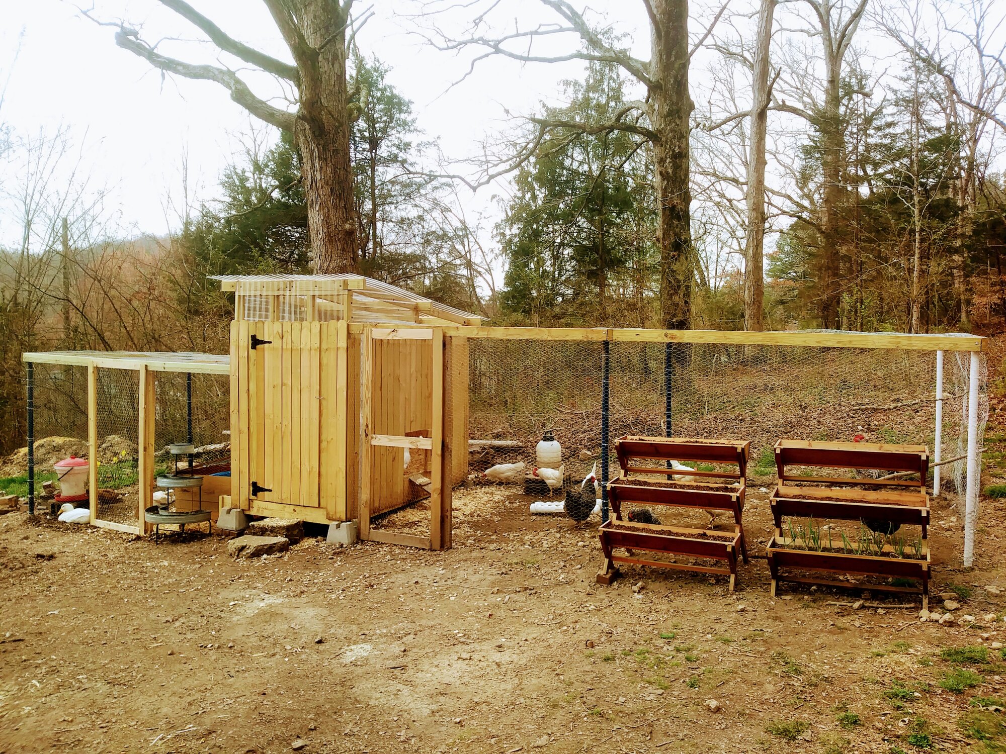 Flora Luna Farm ~ Chicken and Duck Coop and Runs