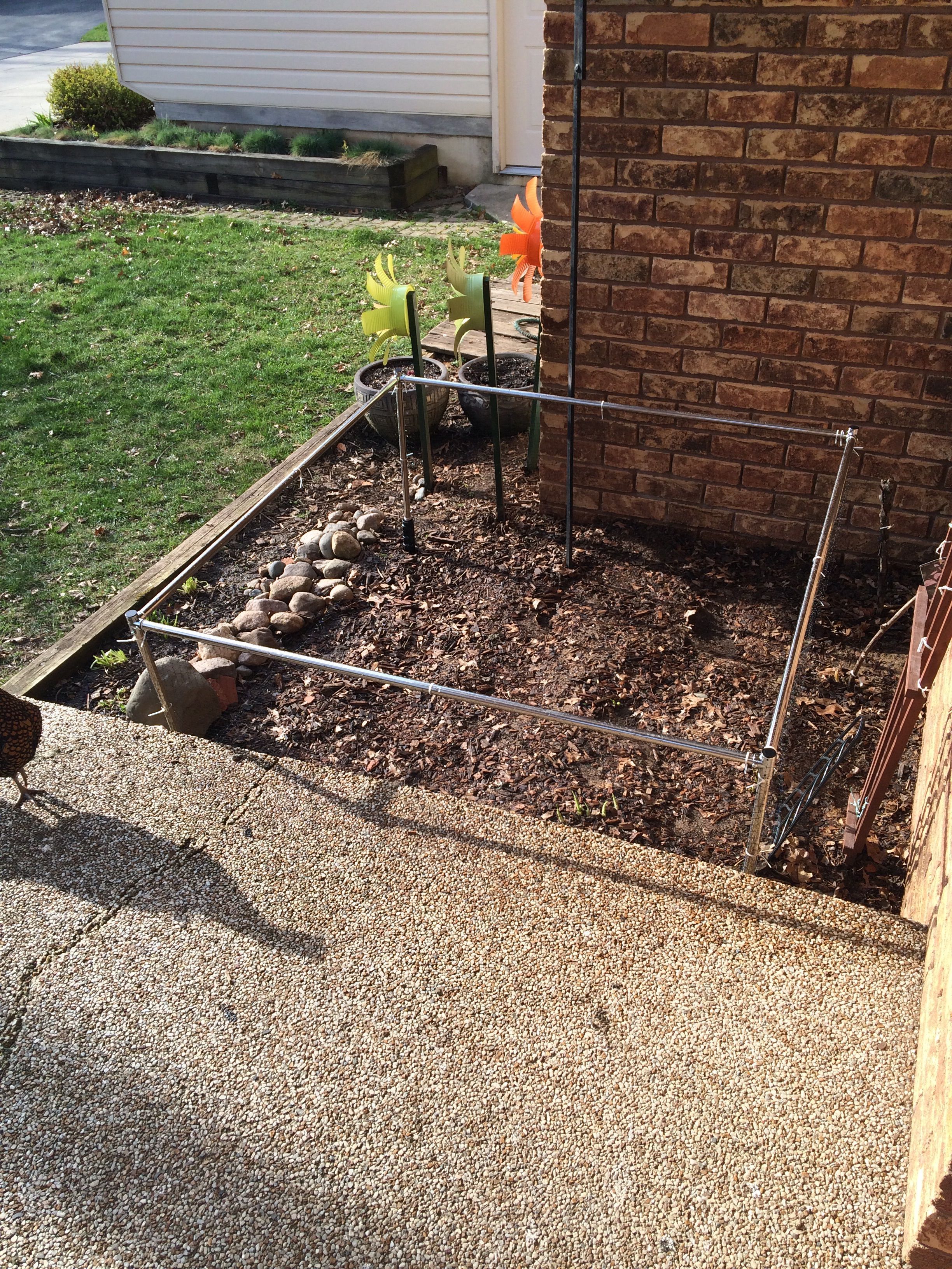 Flower bed, protected. :)