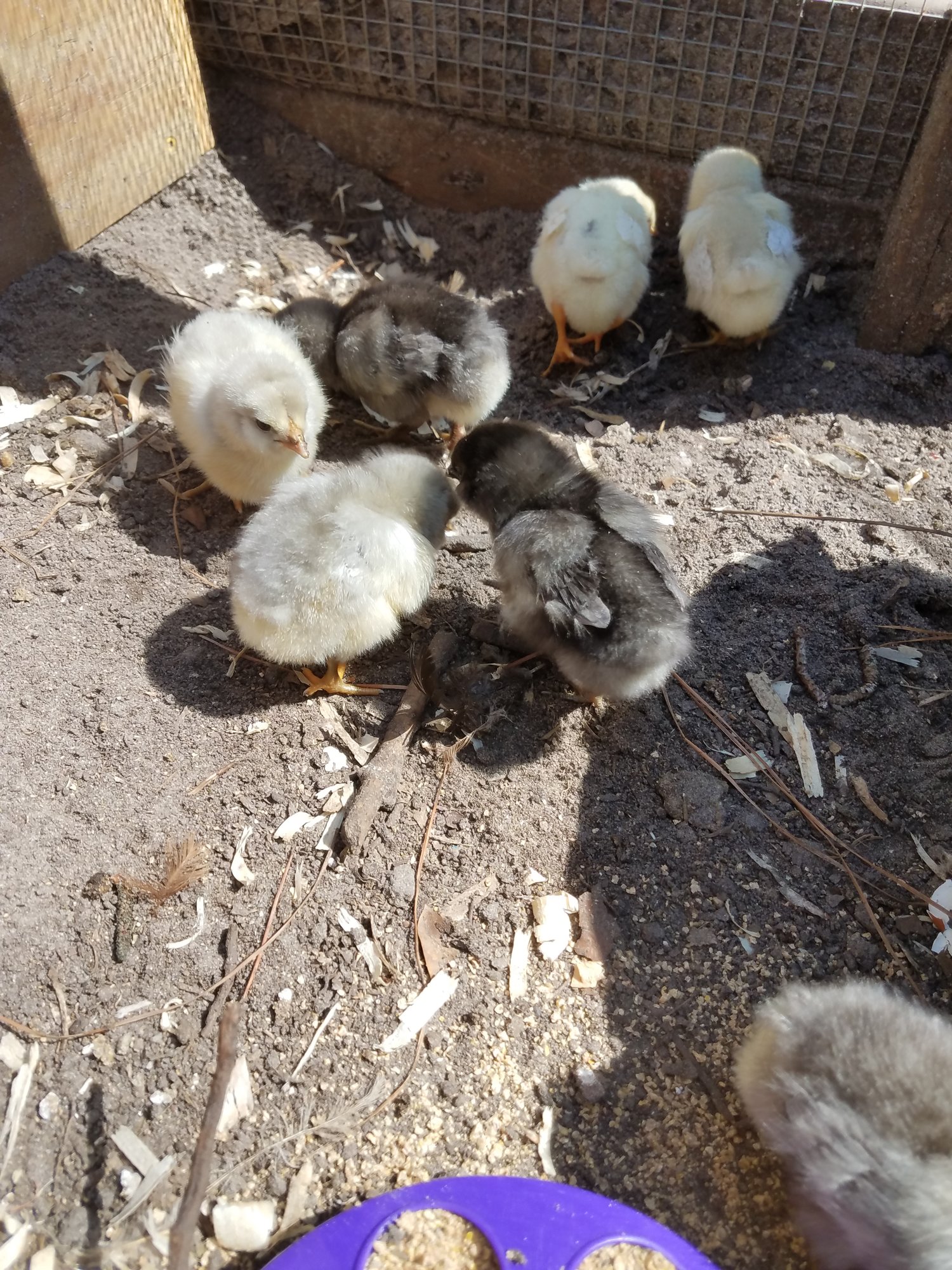 Fluff butts