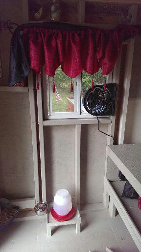 food and water corner