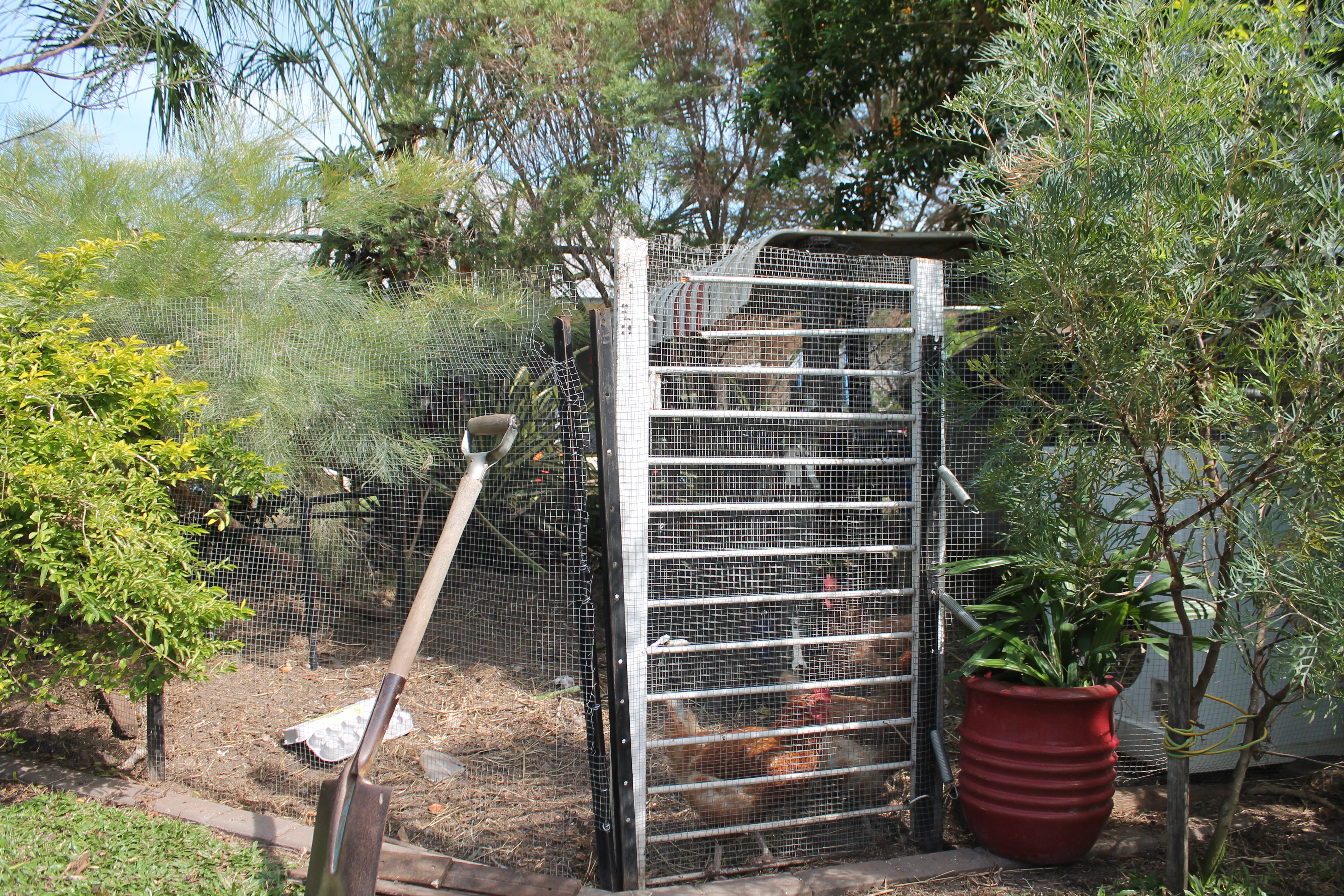 For the chicken run door we used part of an old baby's cot.