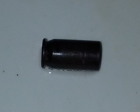 Found a cartridge case in the duck's run