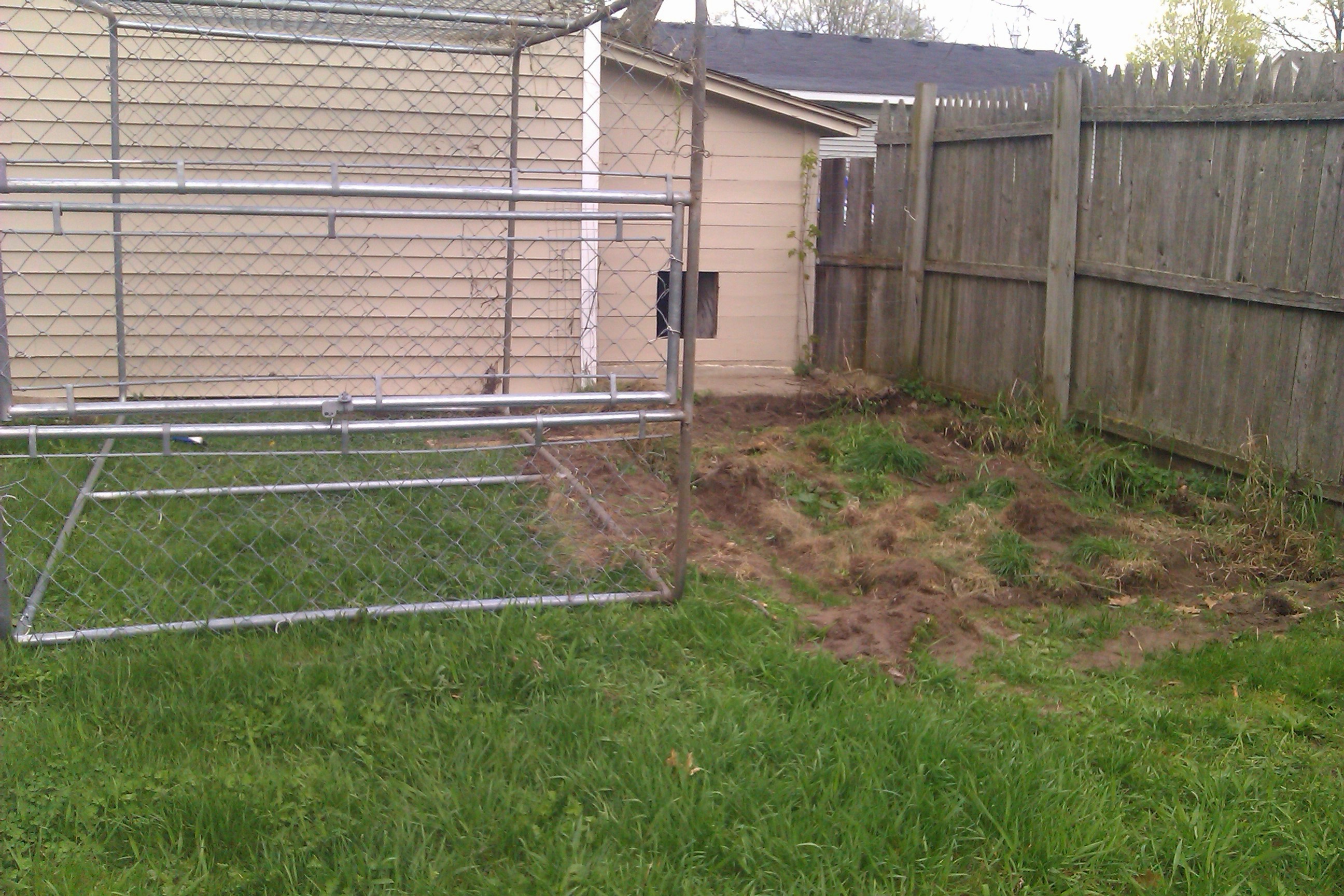 Found a use for the old dog kennel that came with the house!