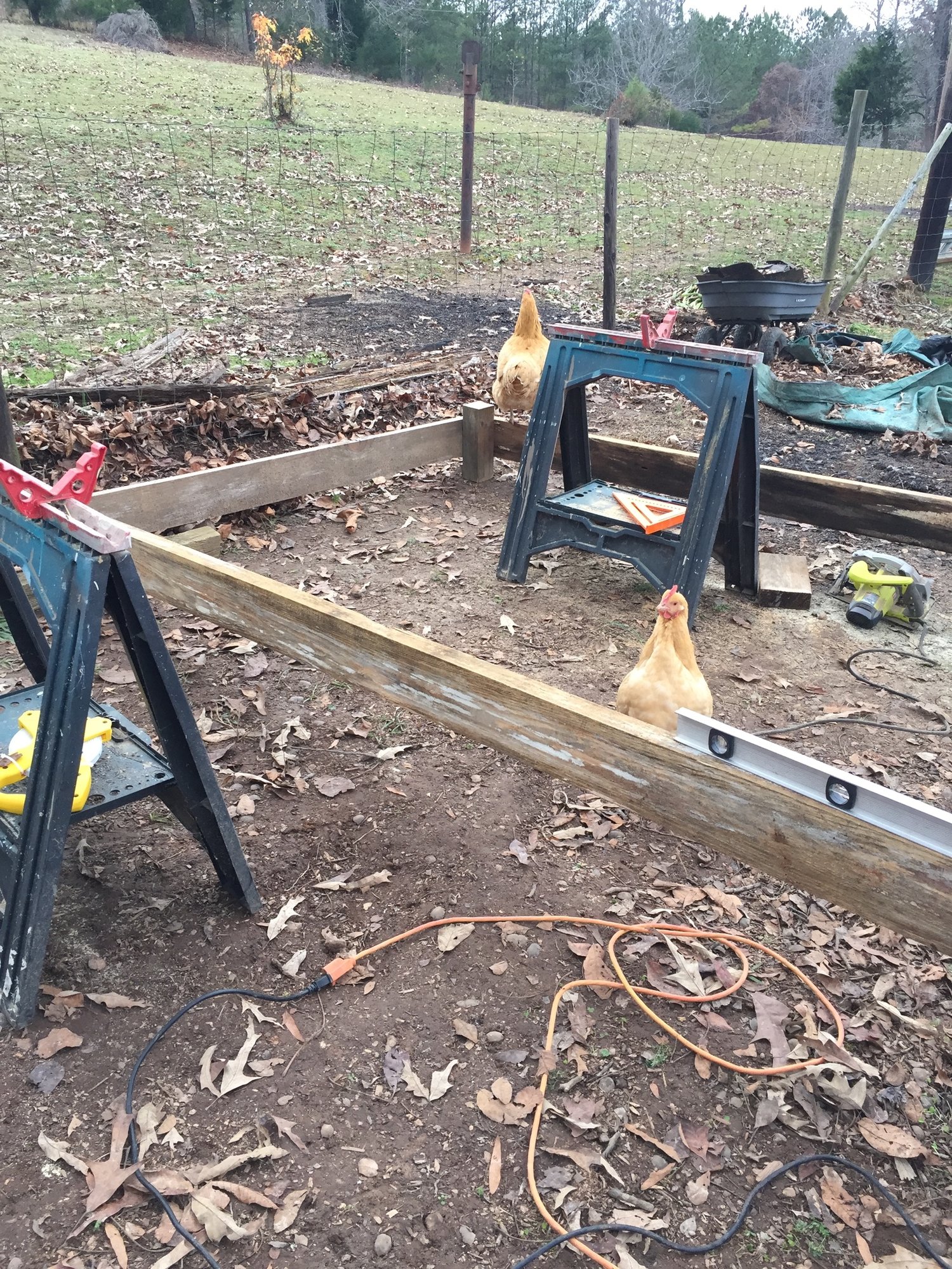 Foundation help abounds