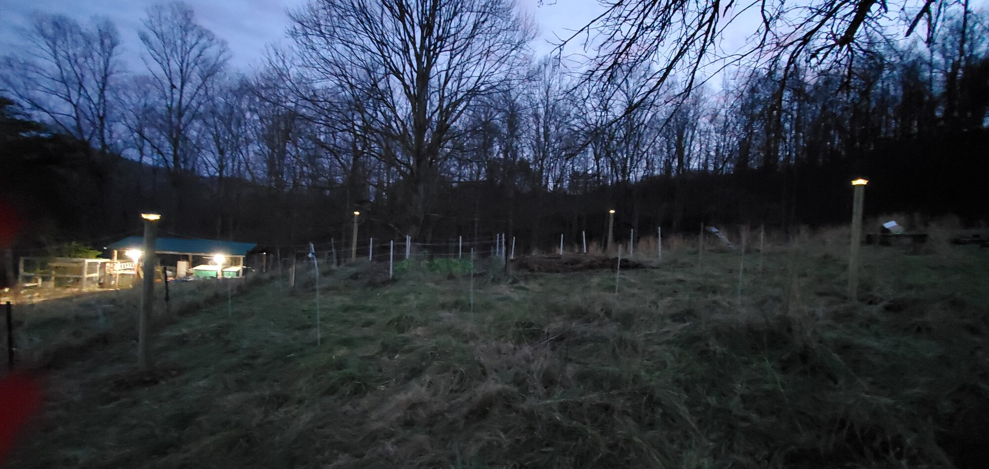 Four corner posts of the veggie garden fence