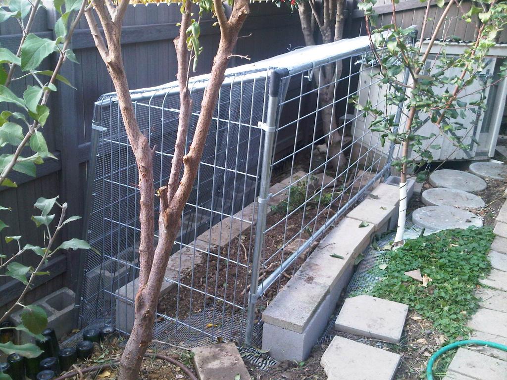 frame of the coop run. used cycle fence poles and cattle fencing. this is on a fairly steep slope. I terraced the floor with cinder blocks. you can see a small apple tree and a plum tree.